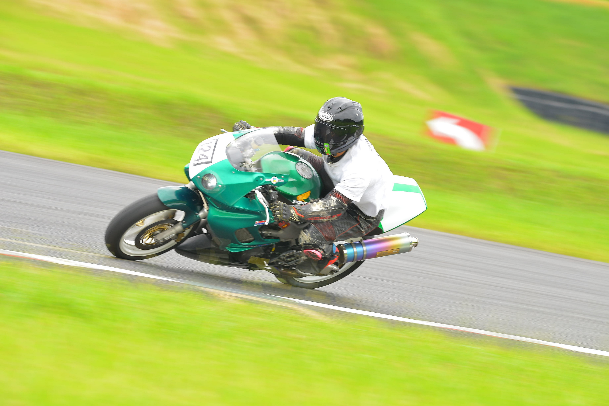 D8J_0303.JPG