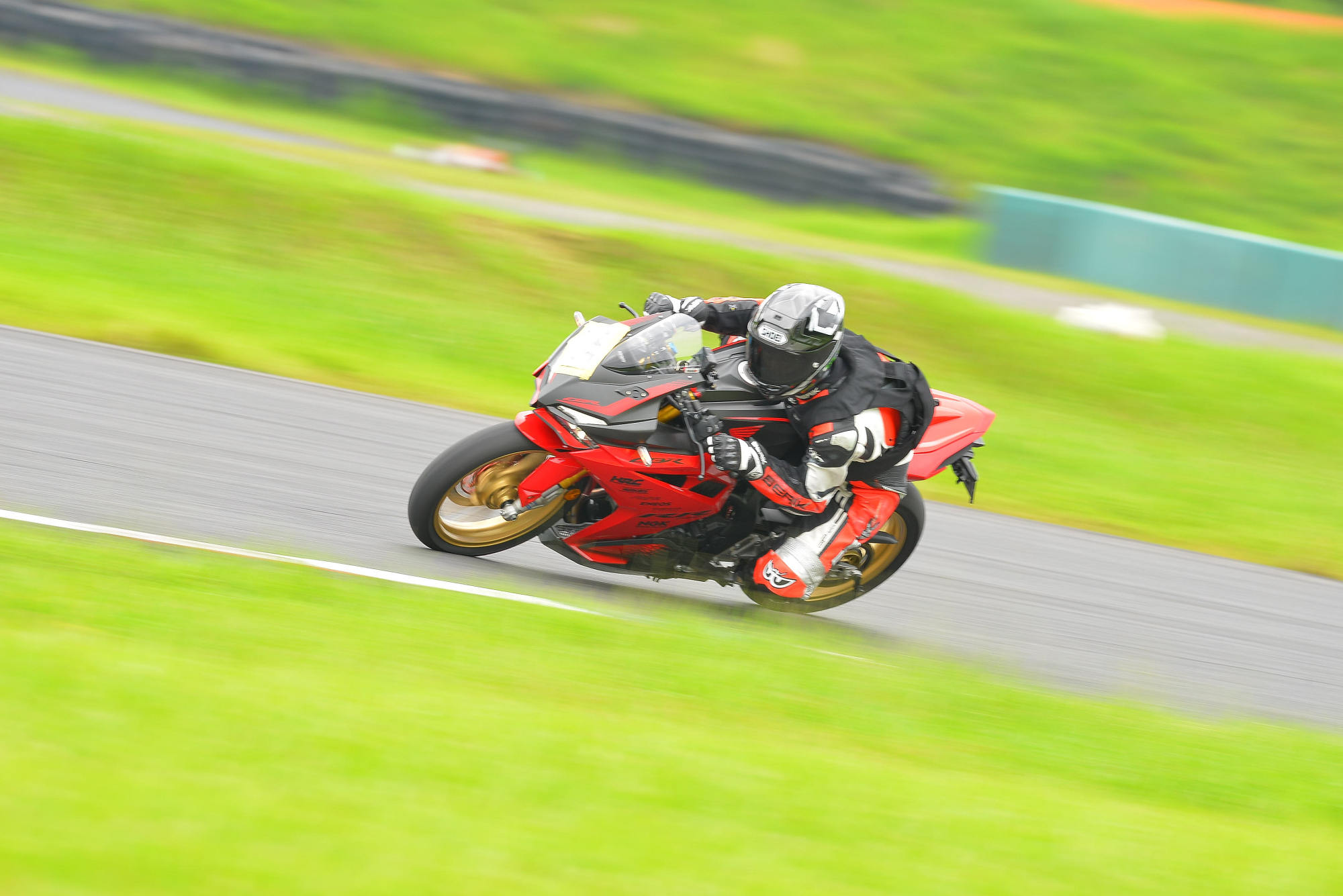 D8J_0307.JPG