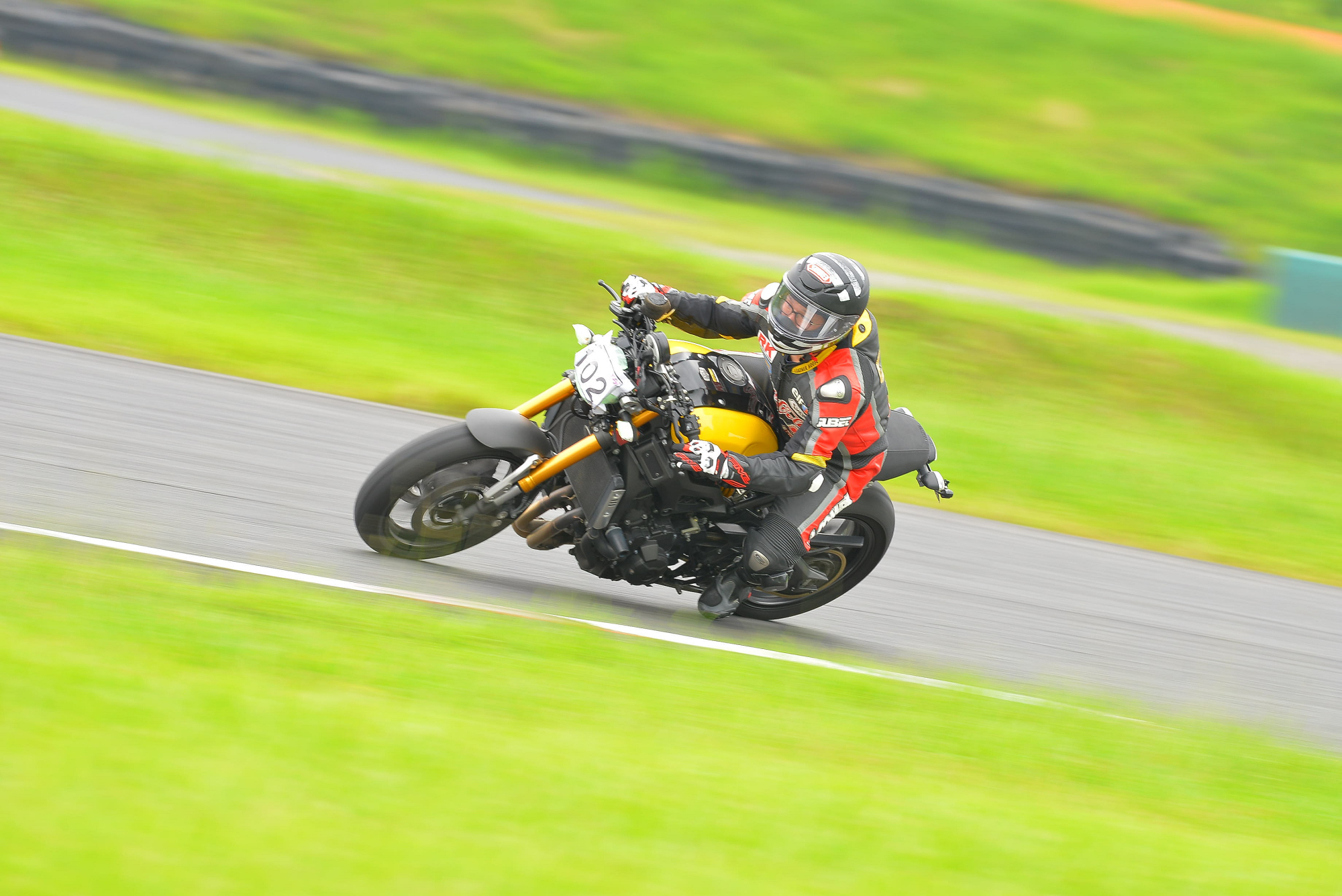 D8J_0323.JPG