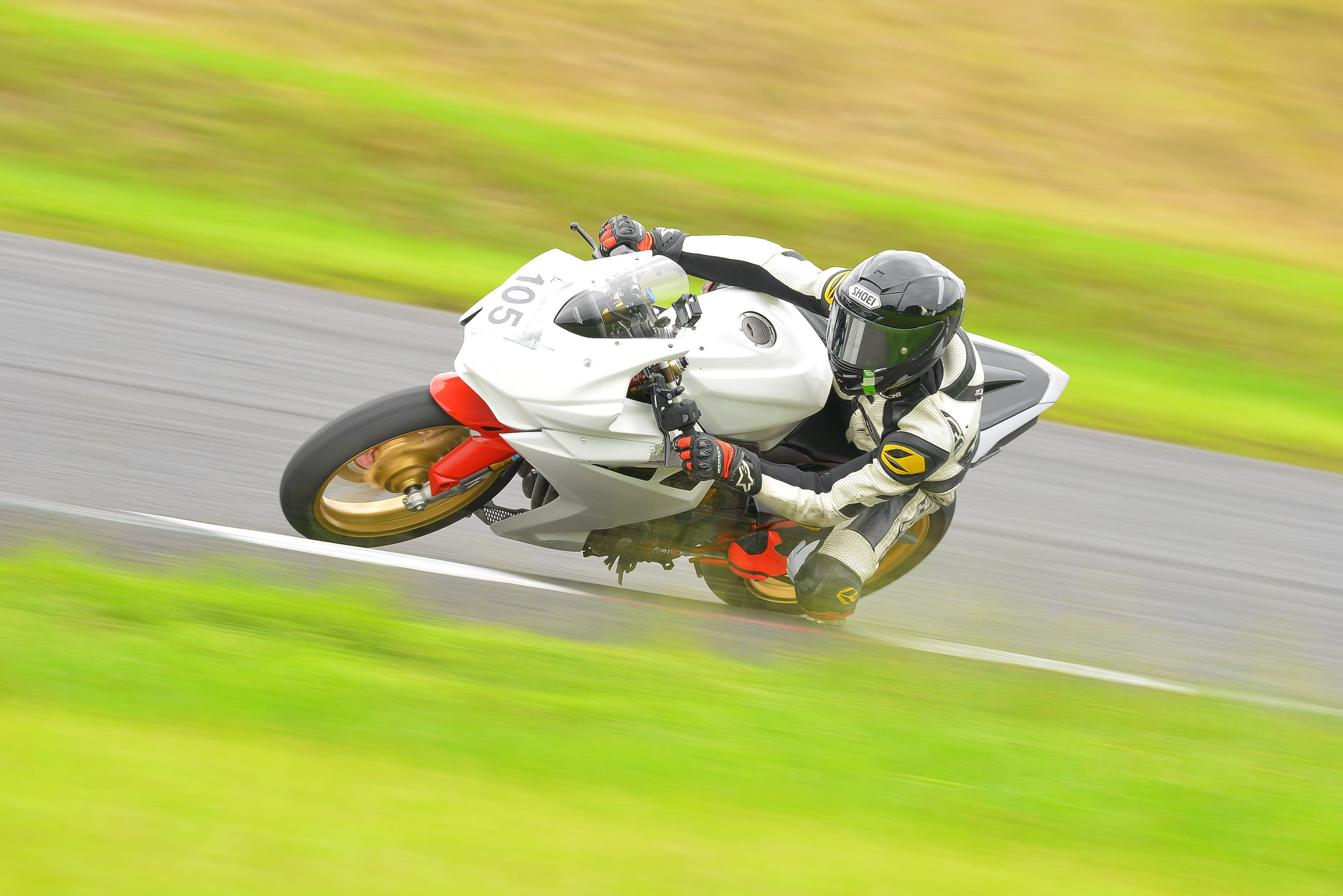 D8J_0339.JPG