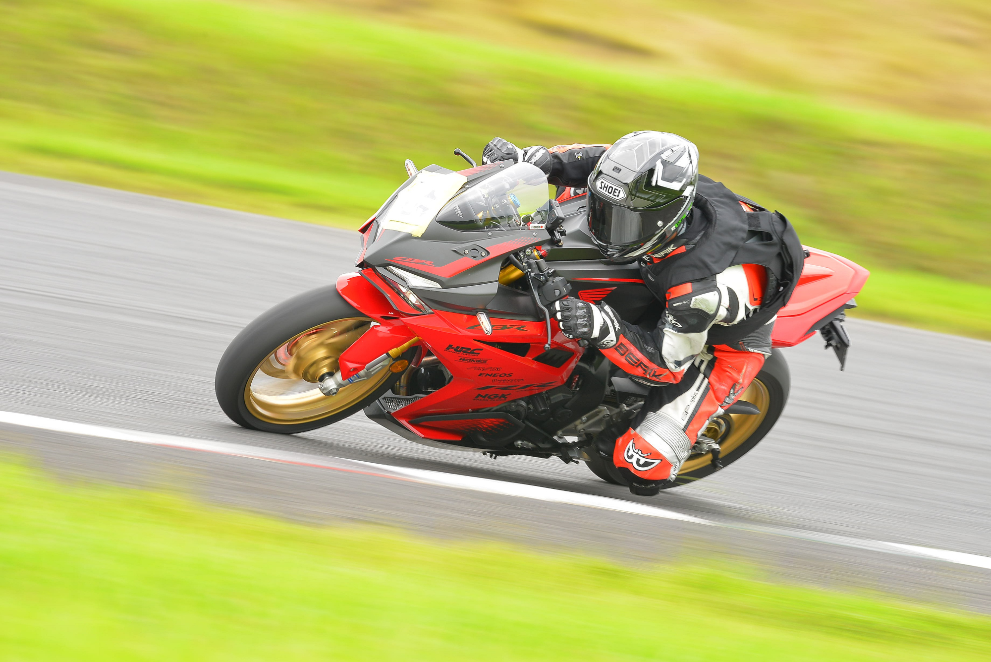 D8J_0345.JPG