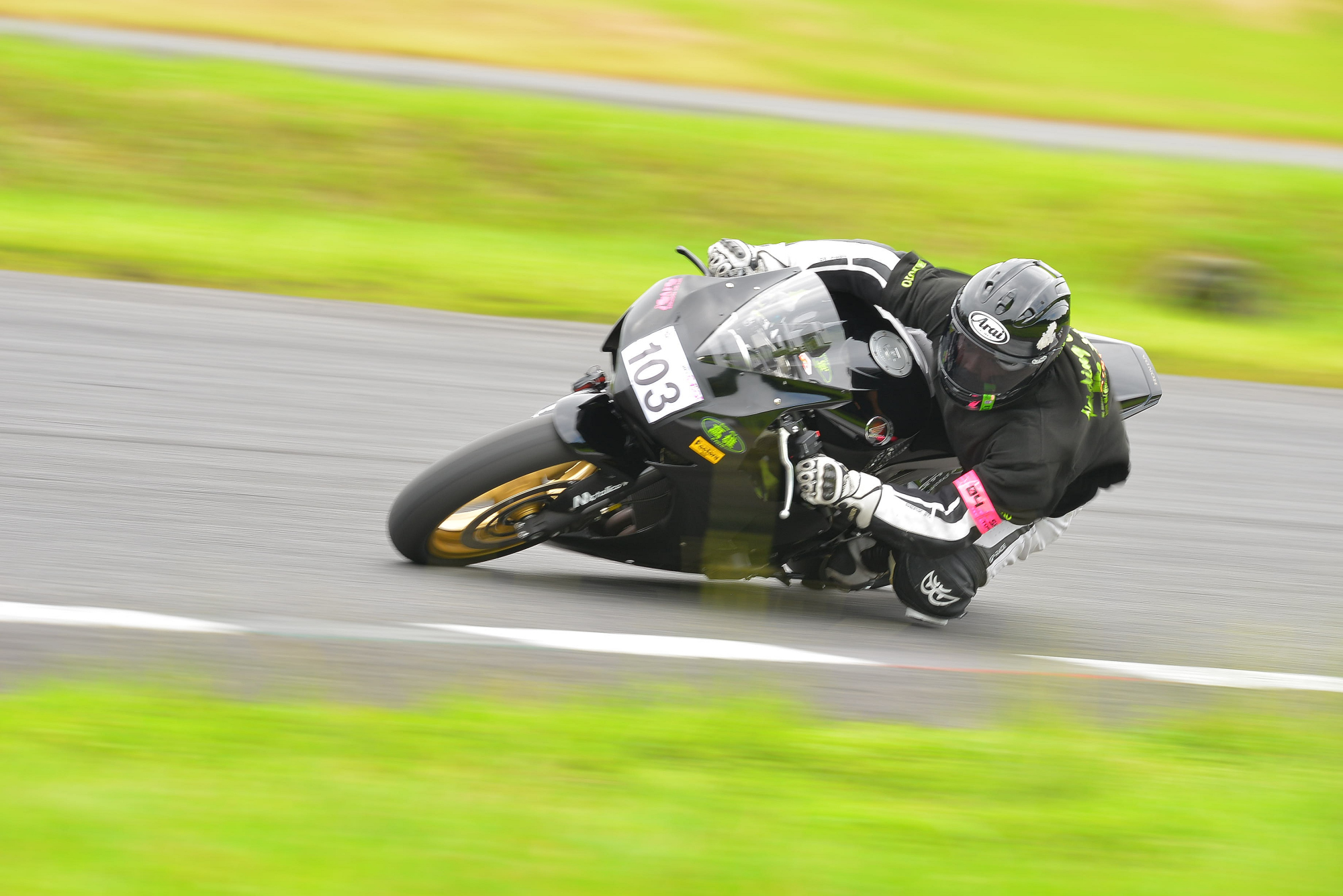 D8J_0659.JPG