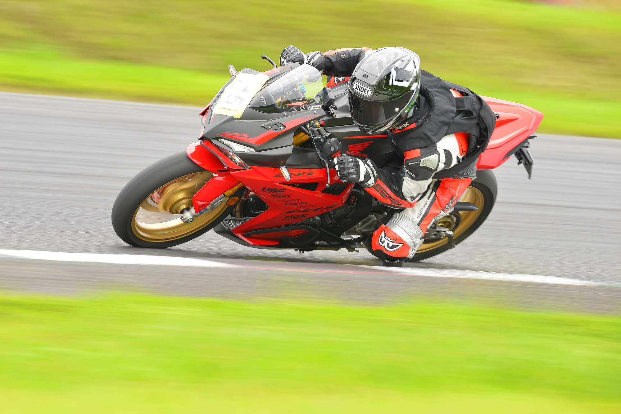 D8J_0729.JPG