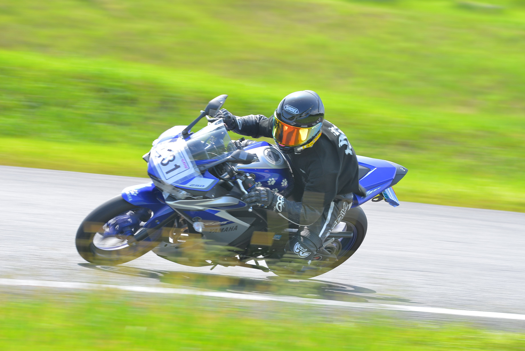 D8J_0051.JPG