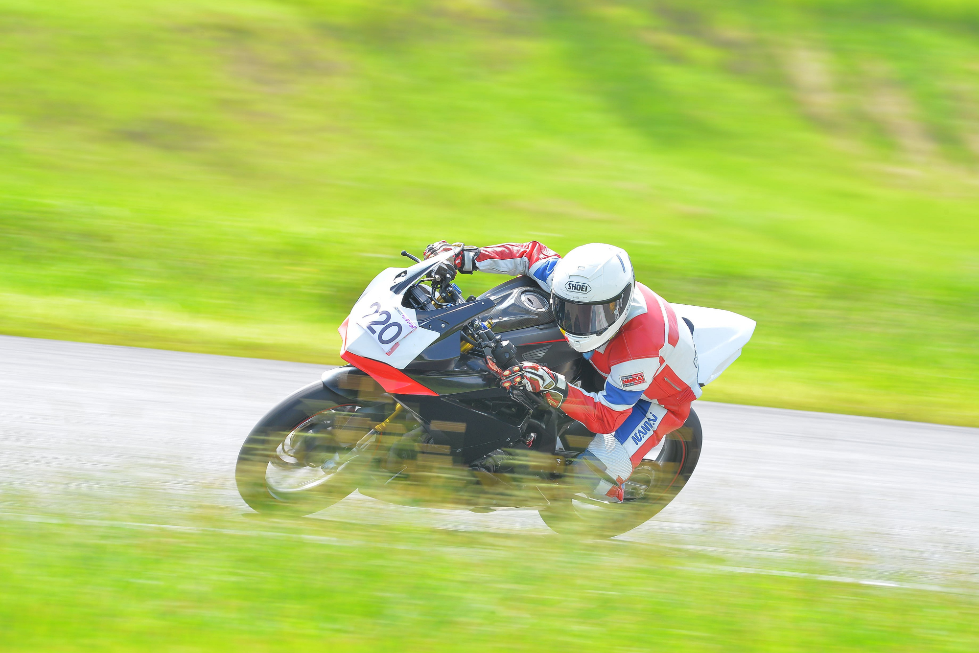 D8J_0121.JPG