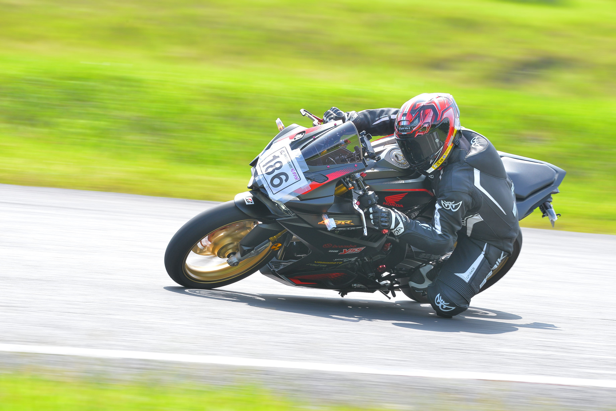 D8J_0131.JPG