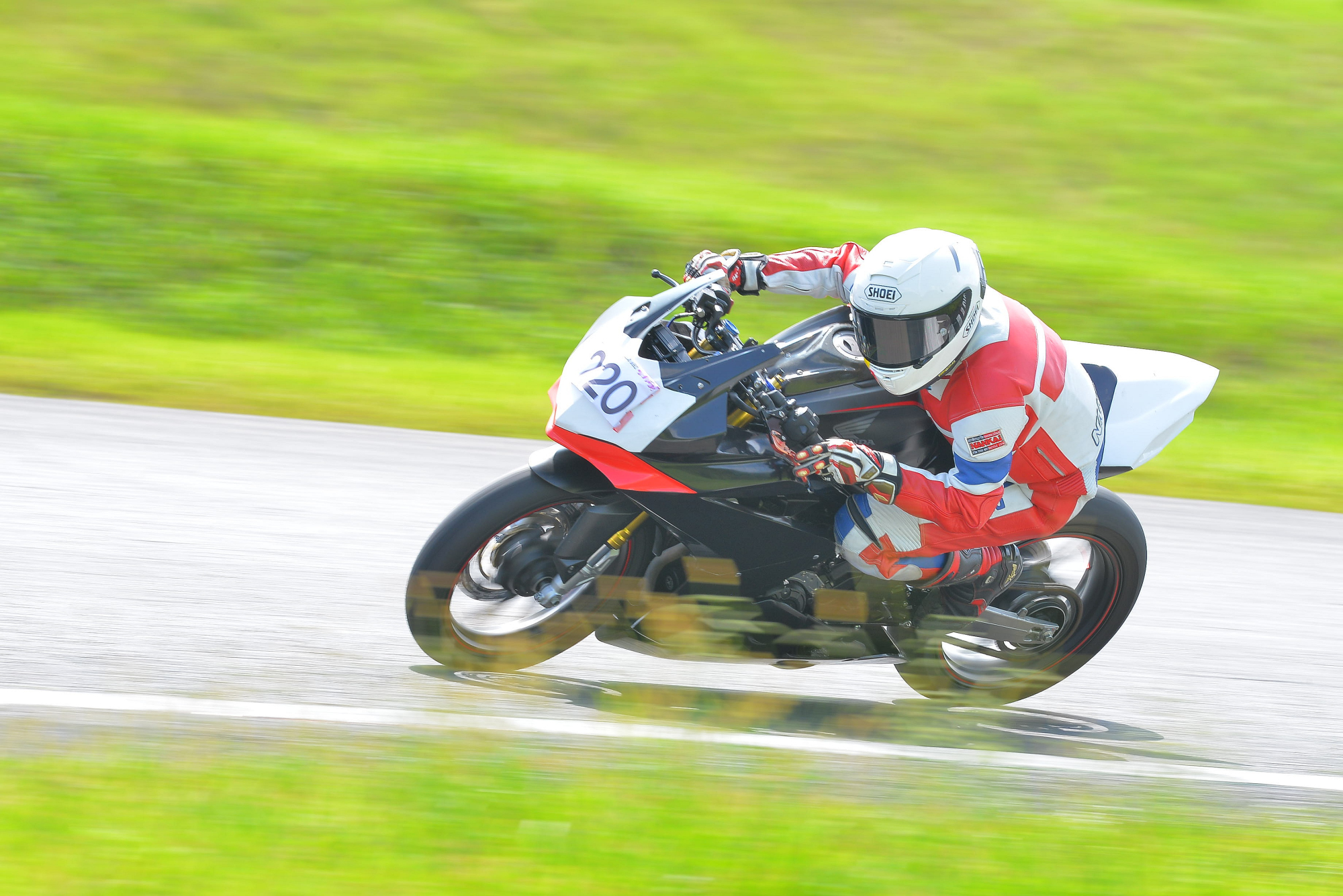 D8J_0142.JPG