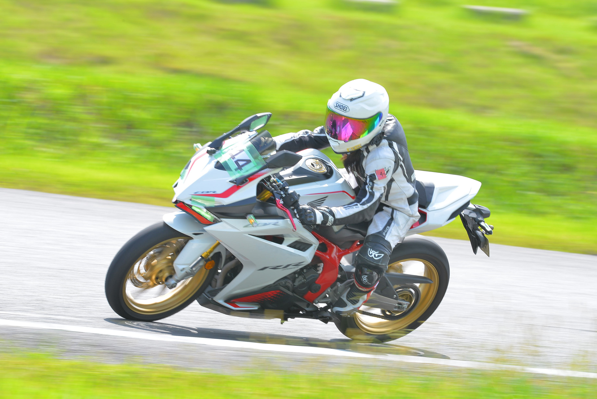 D8J_0210.JPG