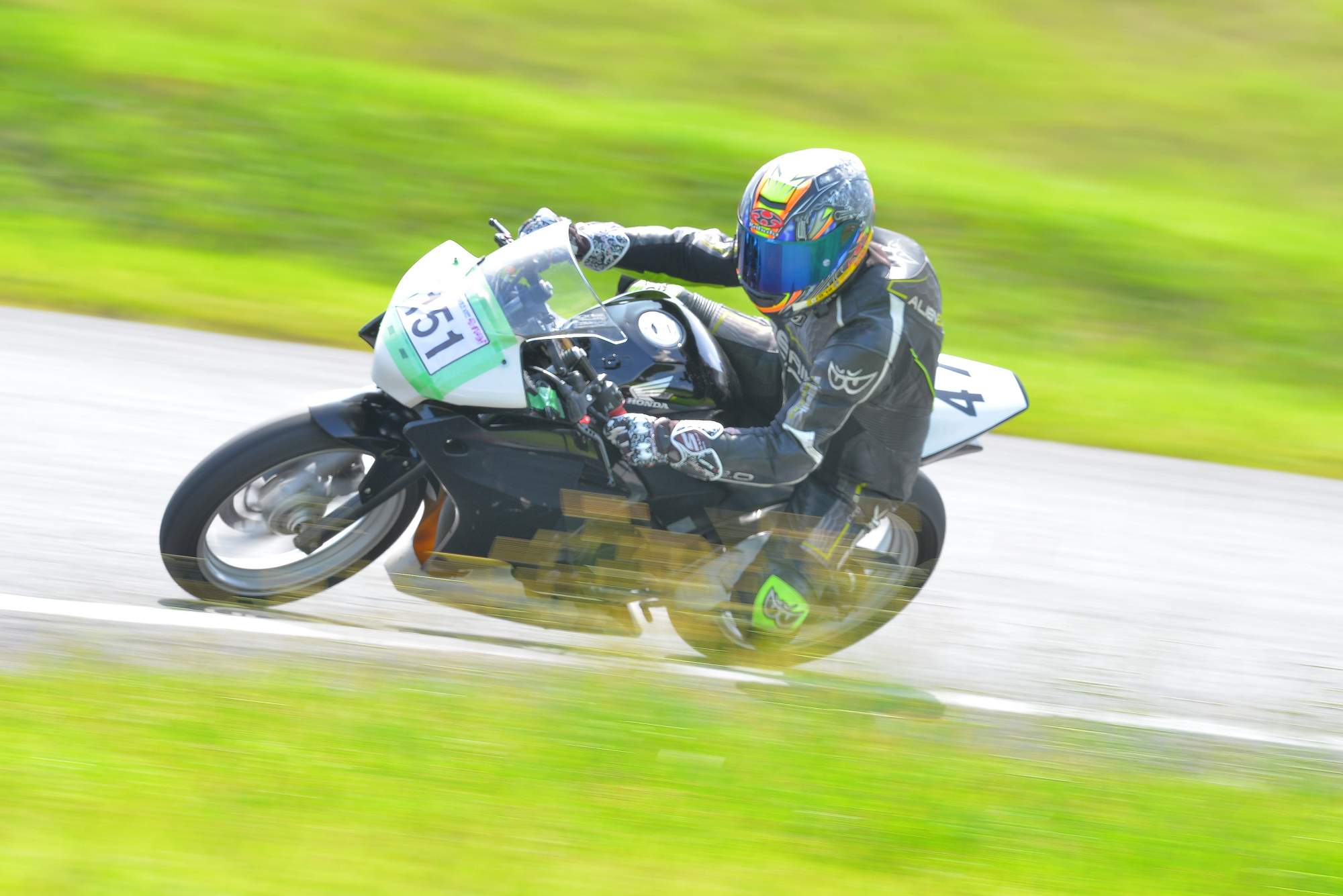 D8J_0216.JPG