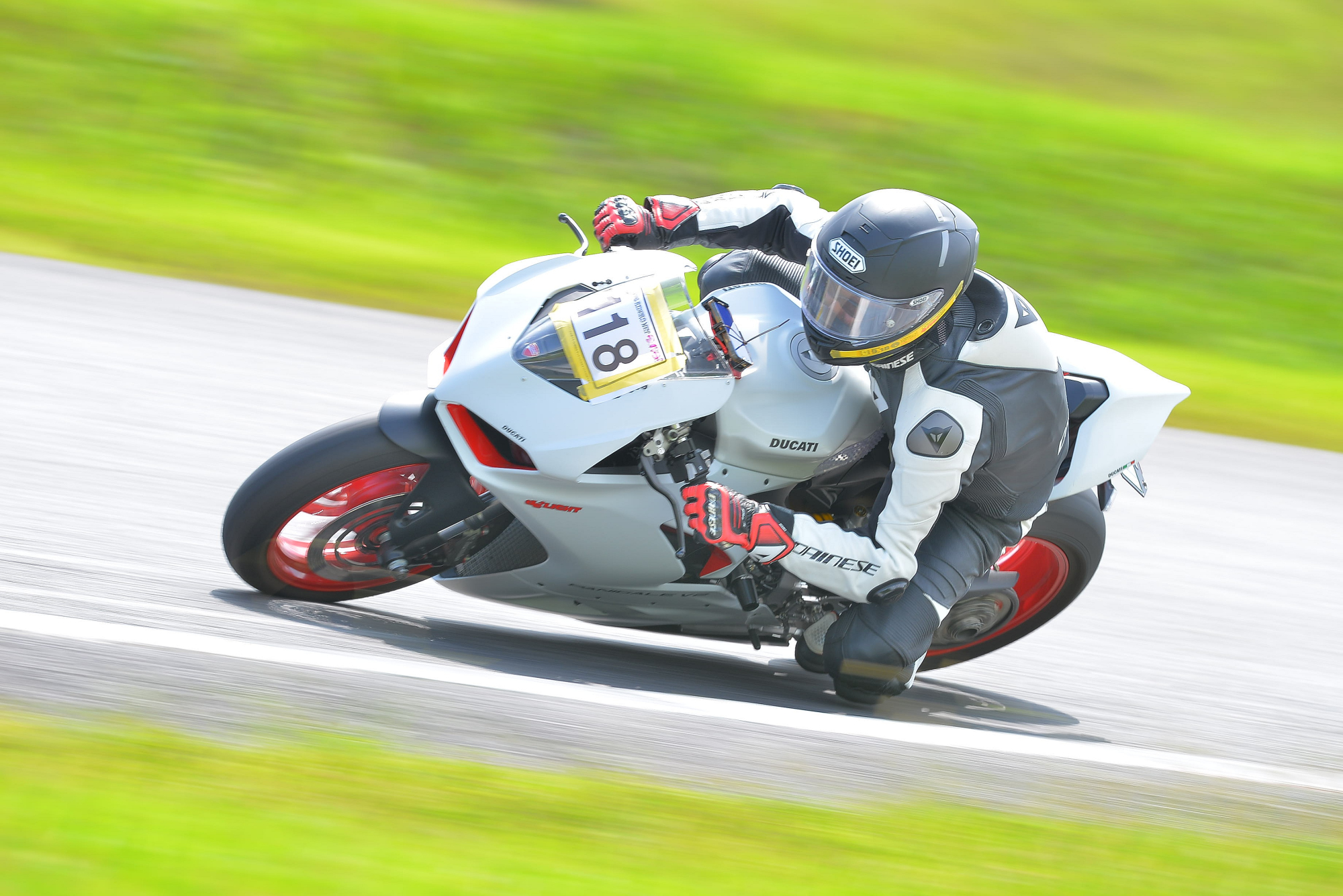 D8J_0468.JPG