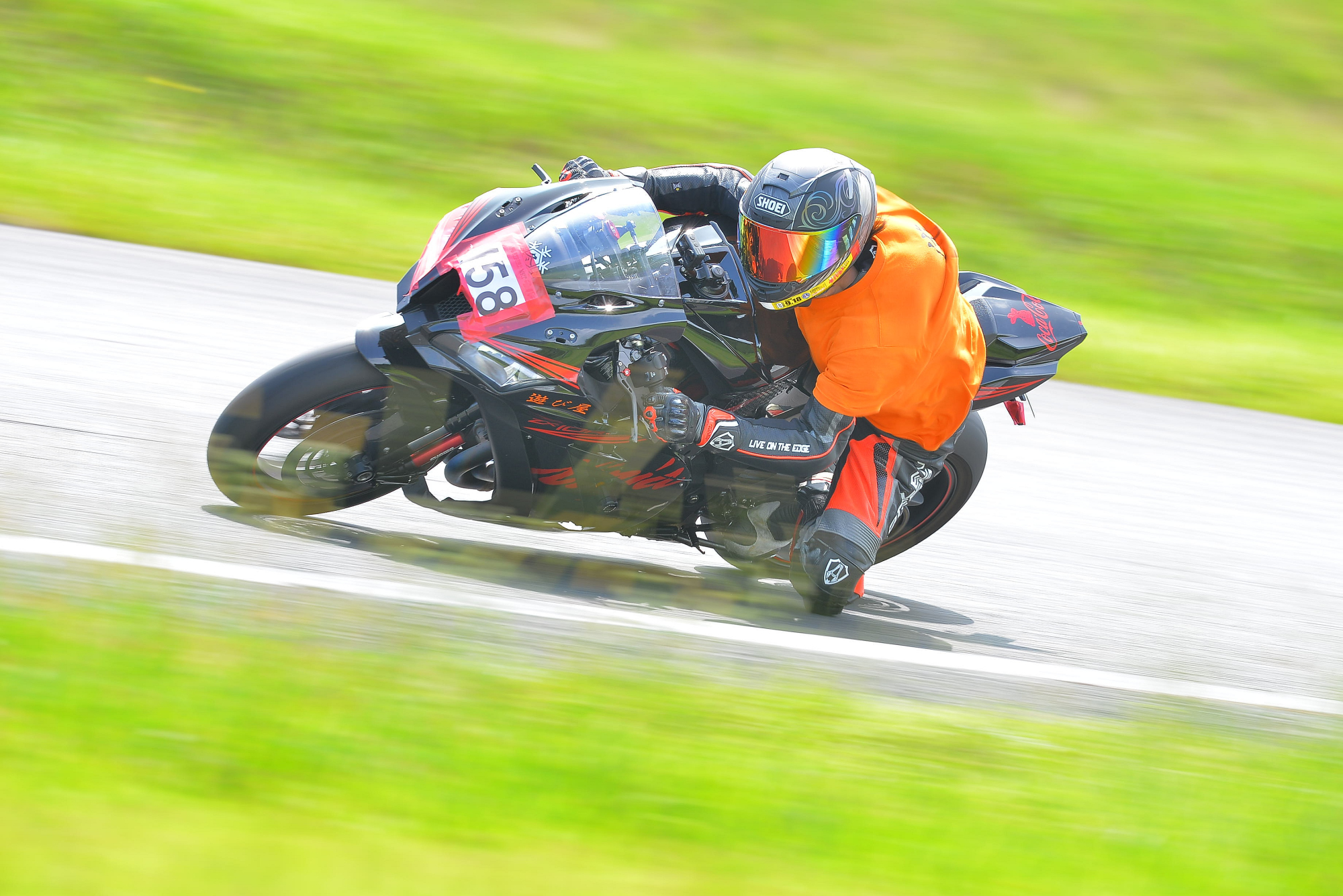 D8J_0486.JPG