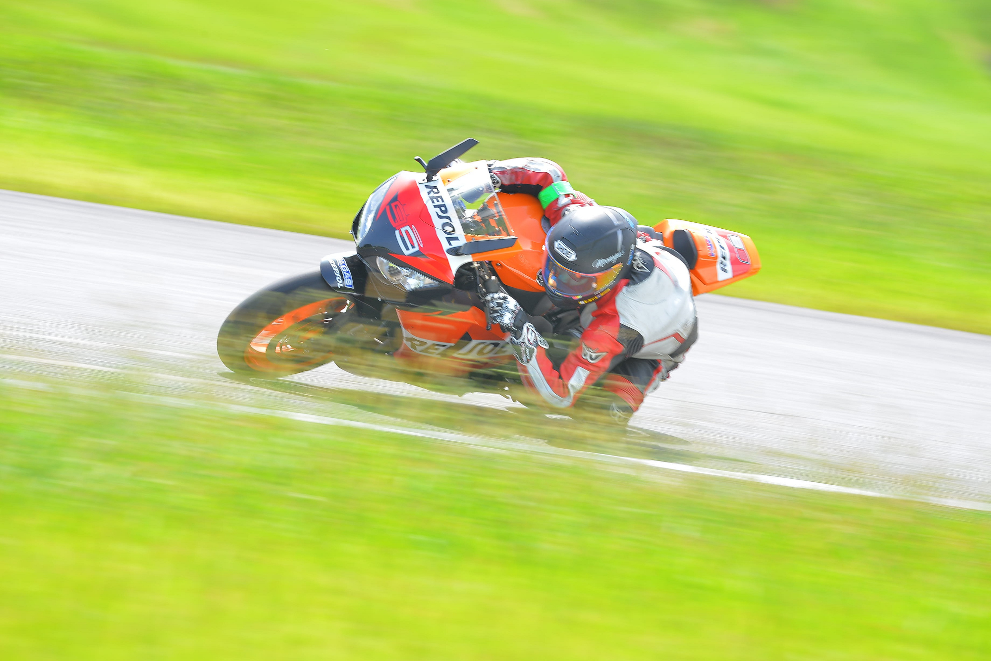 D8J_0498.JPG