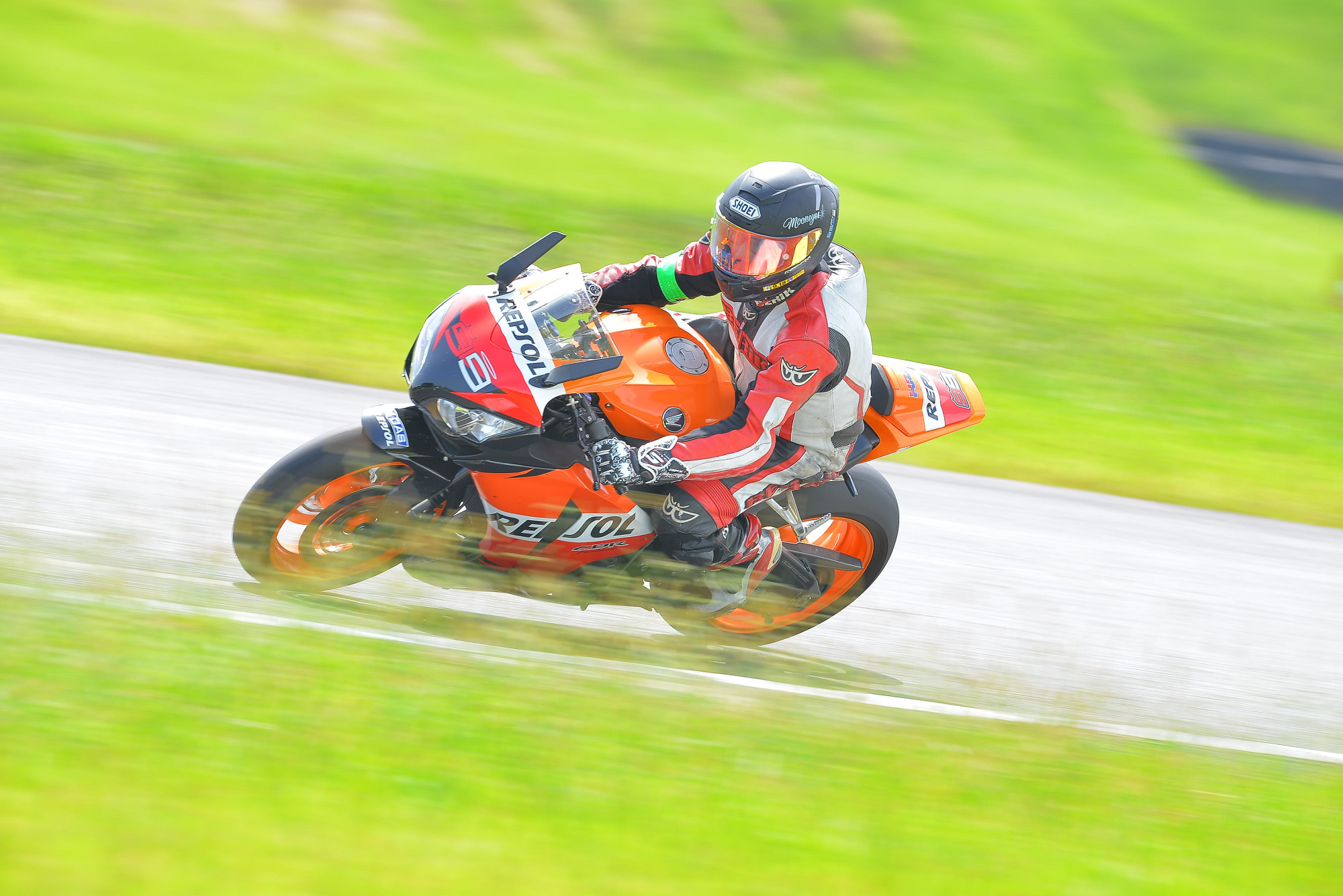 D8J_0517.JPG