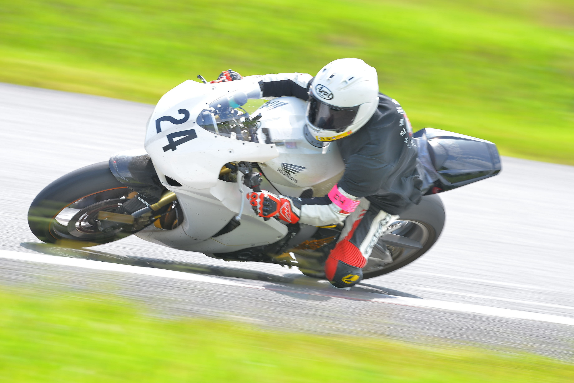 D8J_0532.JPG