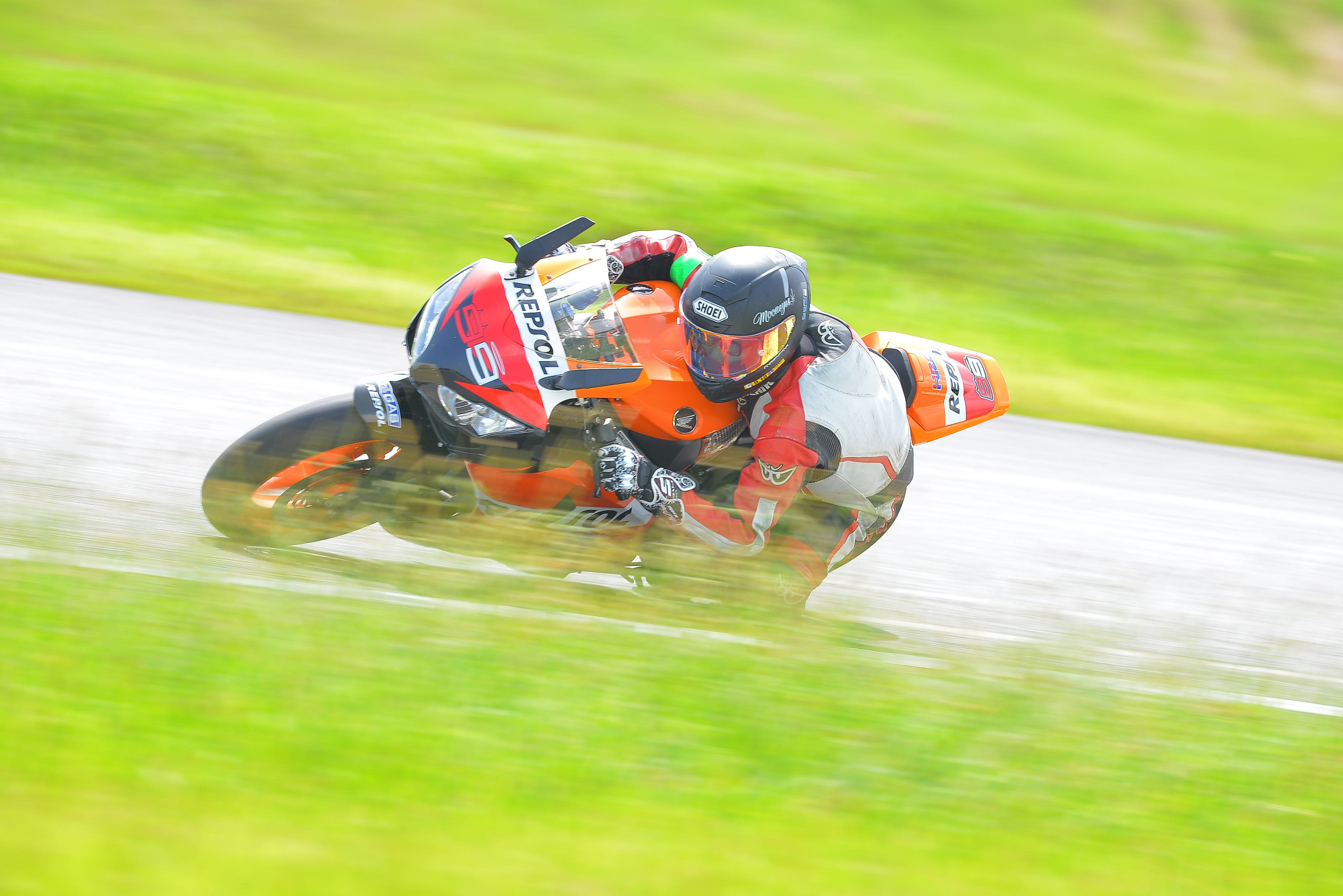D8J_0585.JPG