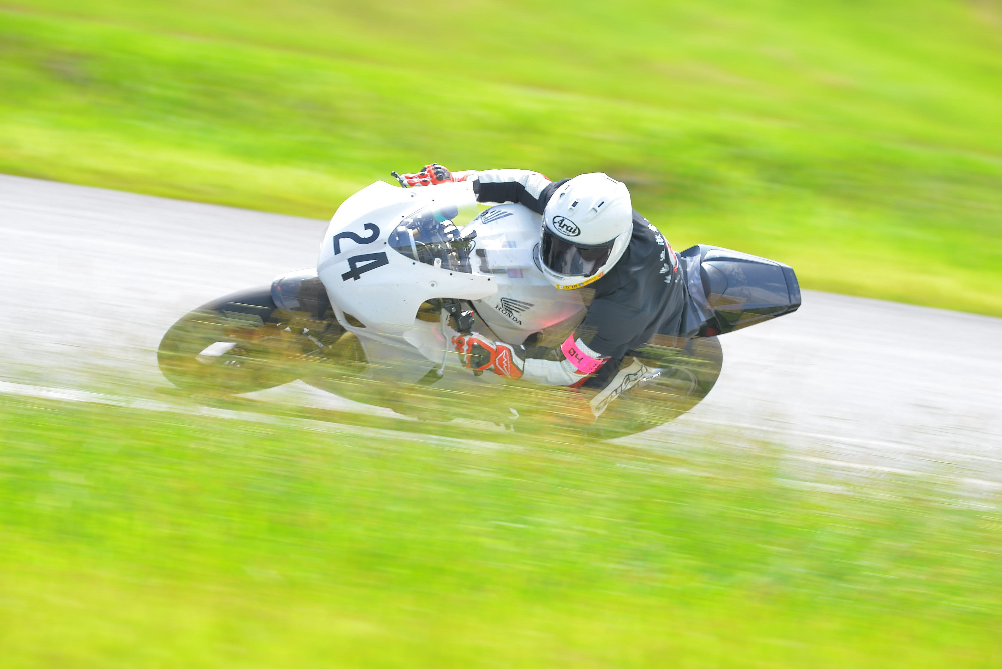 D8J_0616.JPG
