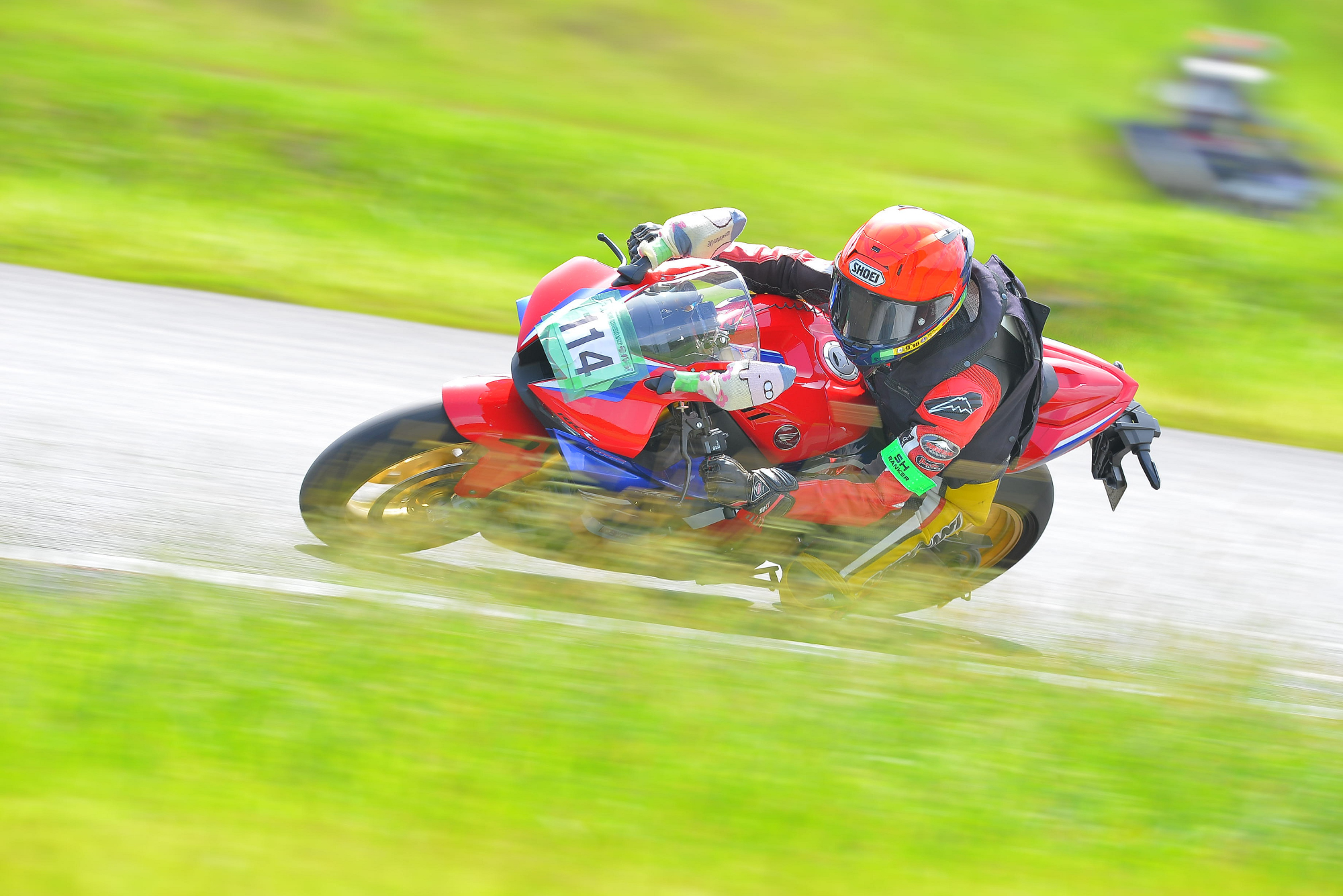 D8J_0623.JPG