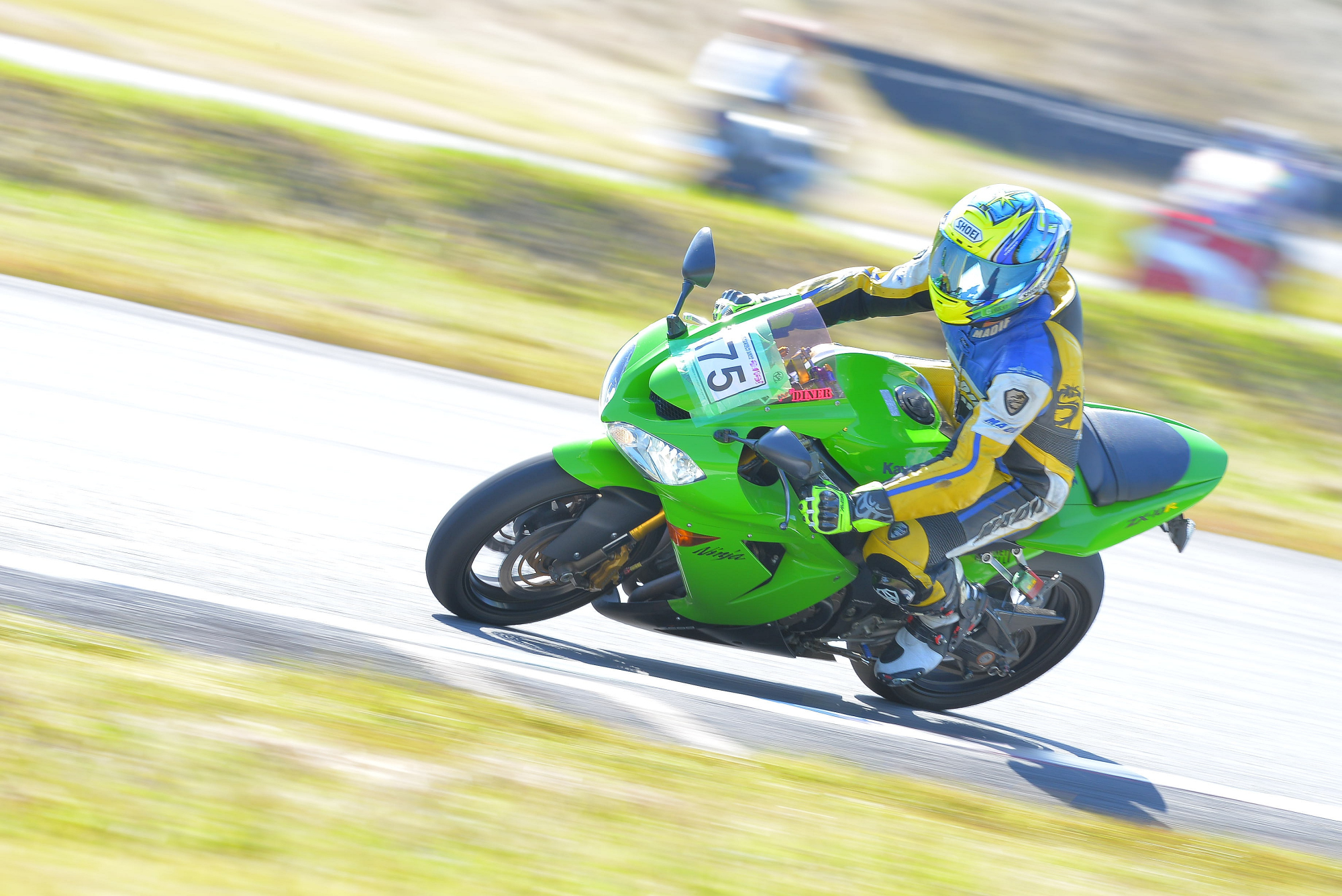 D8J_0228.JPG