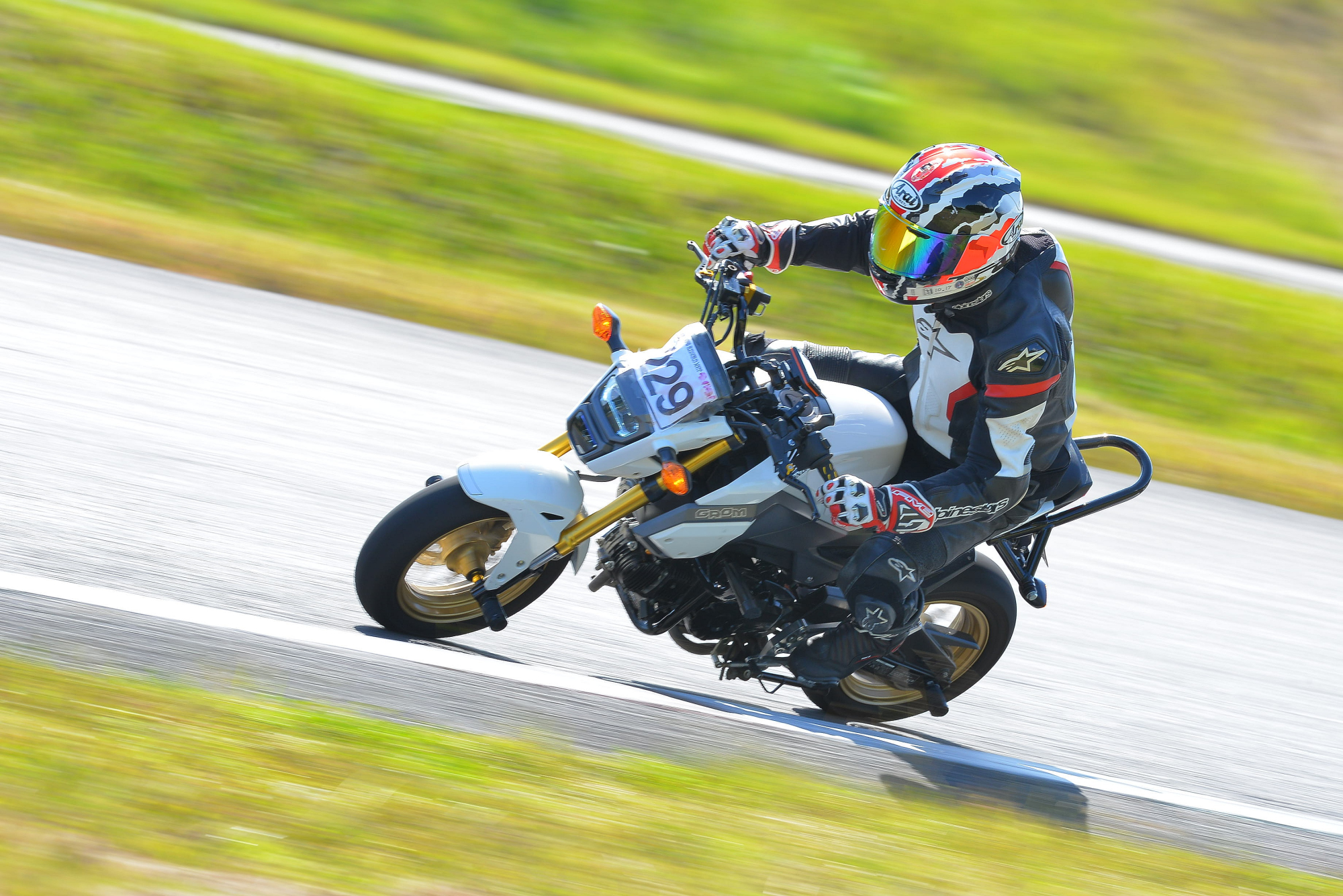 D8J_0298.JPG