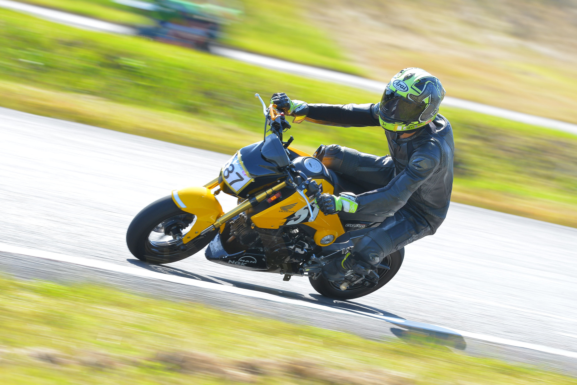 D8J_0300.JPG