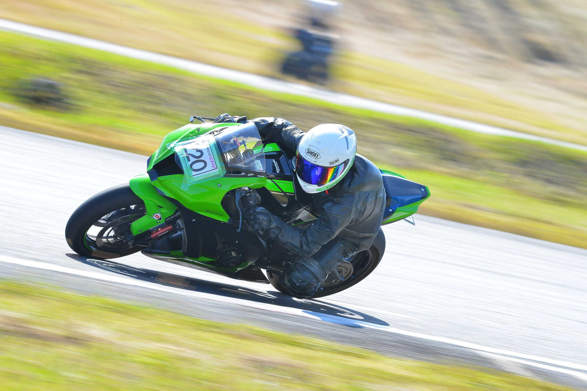 D8J_0344.JPG