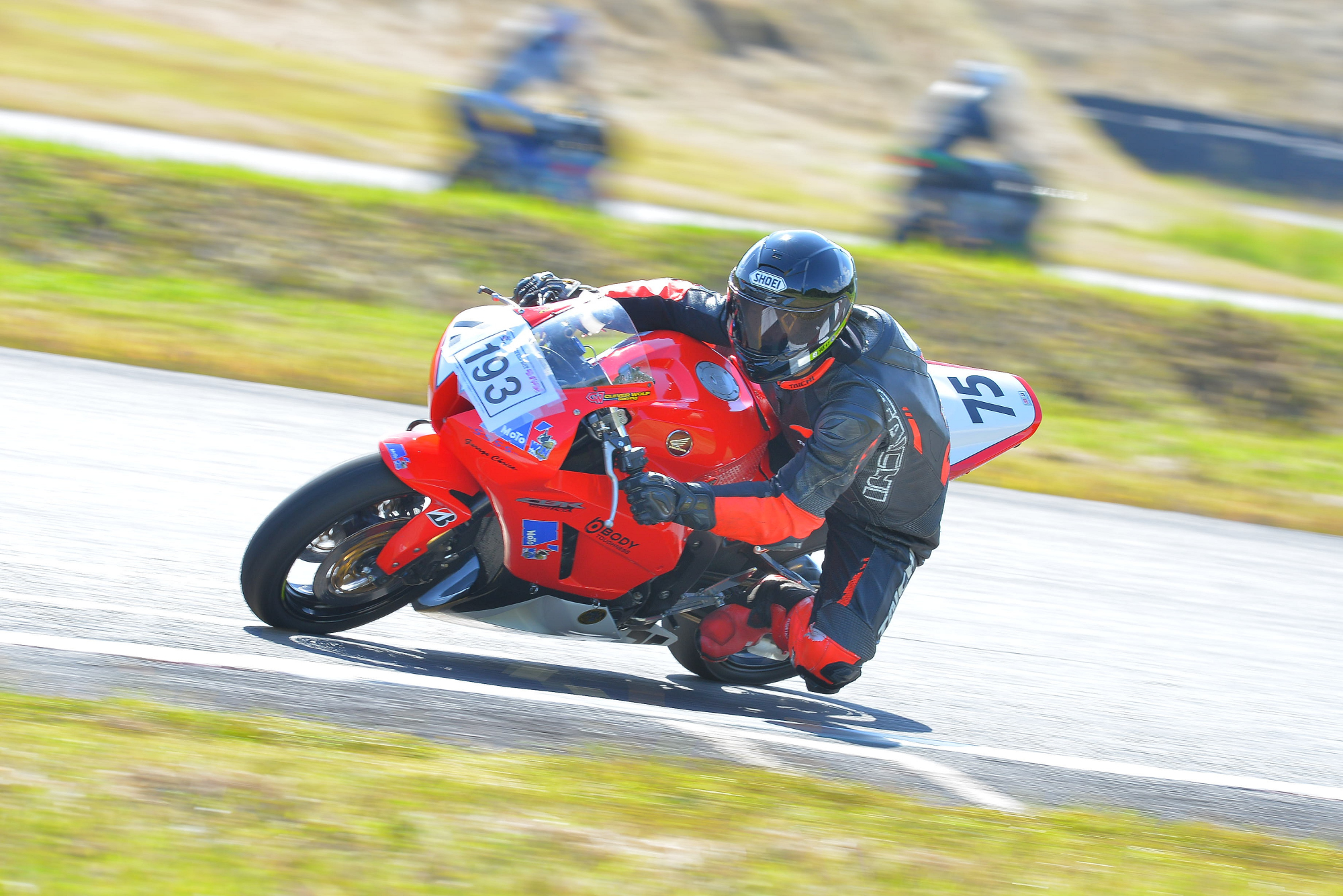 D8J_0470.JPG