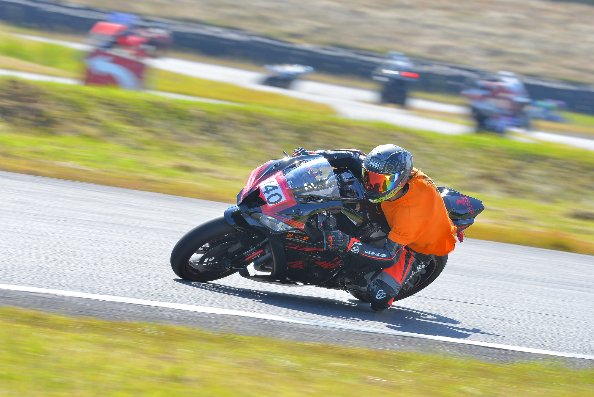 D8J_0490.JPG