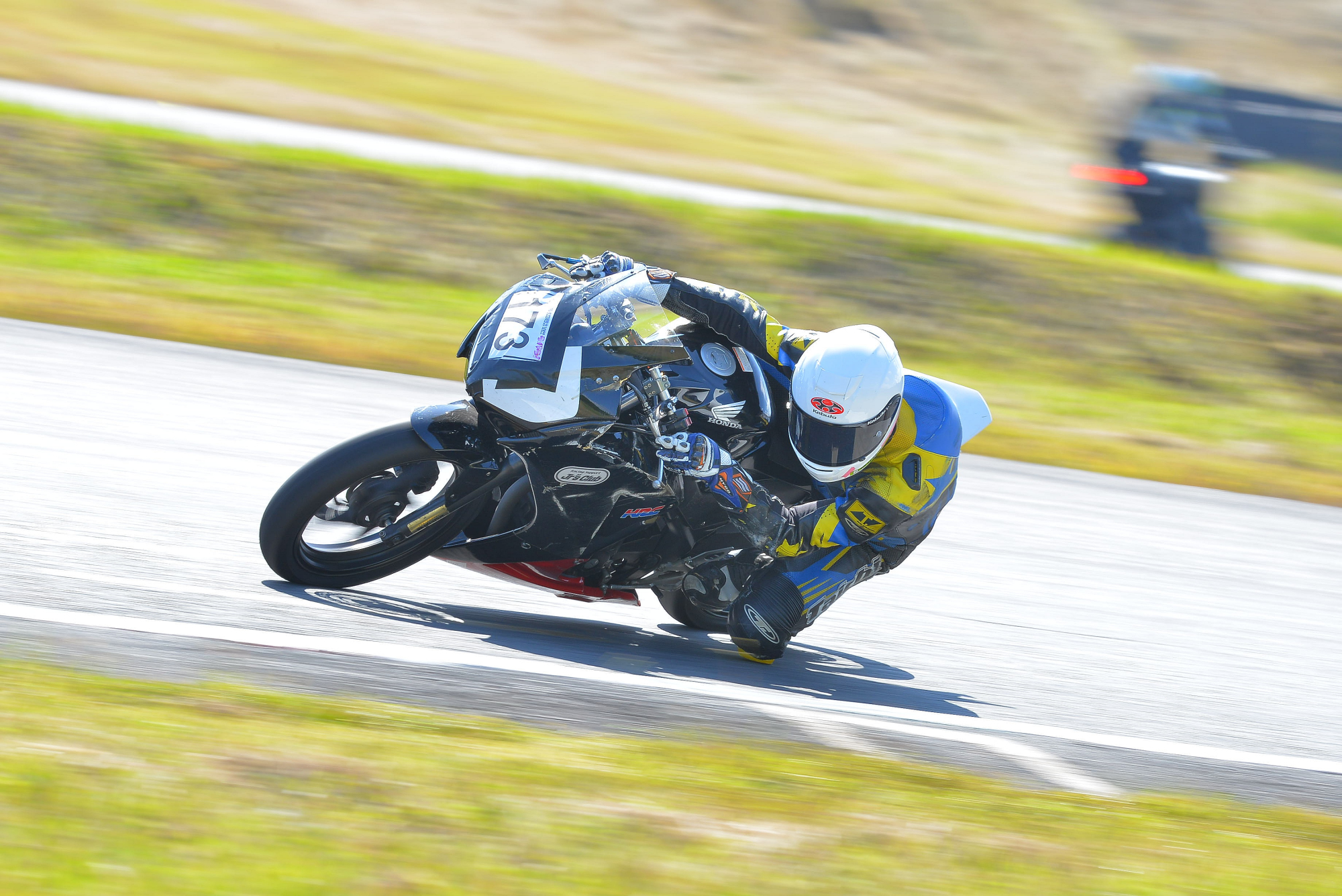 D8J_0497.JPG