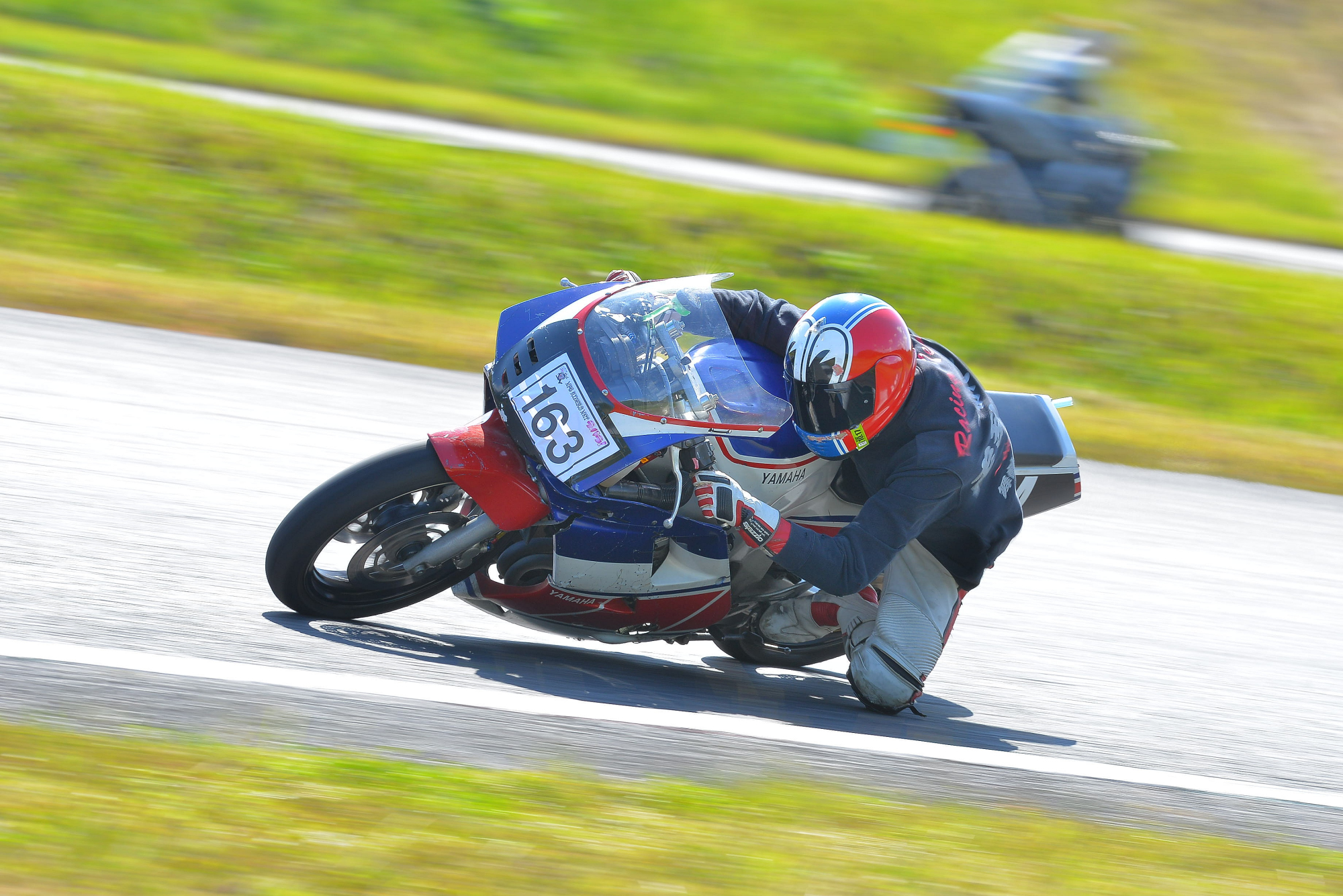 D8J_0511.JPG