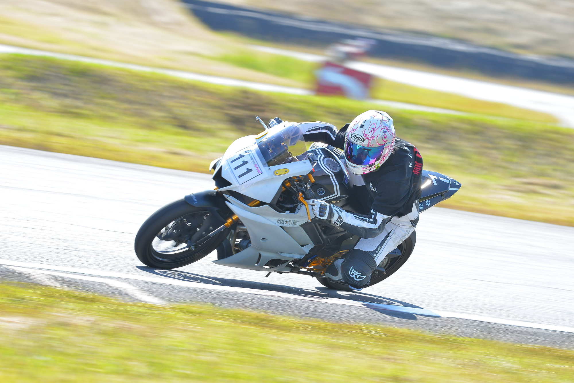 D8J_0554.JPG