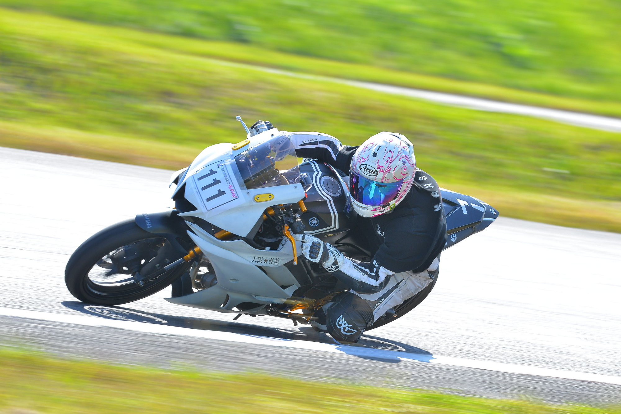D8J_0555.JPG