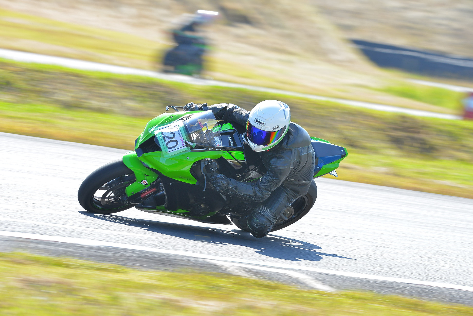 D8J_0565.JPG