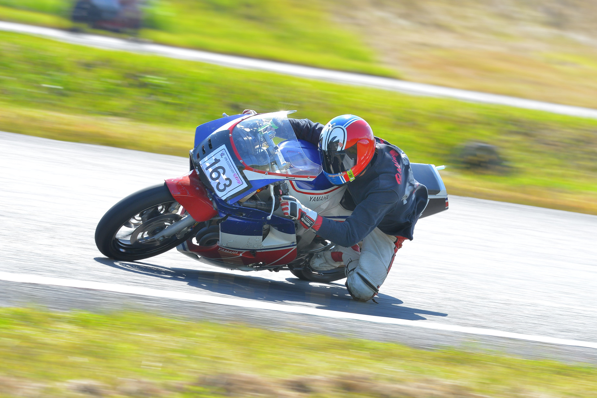 D8J_0569.JPG