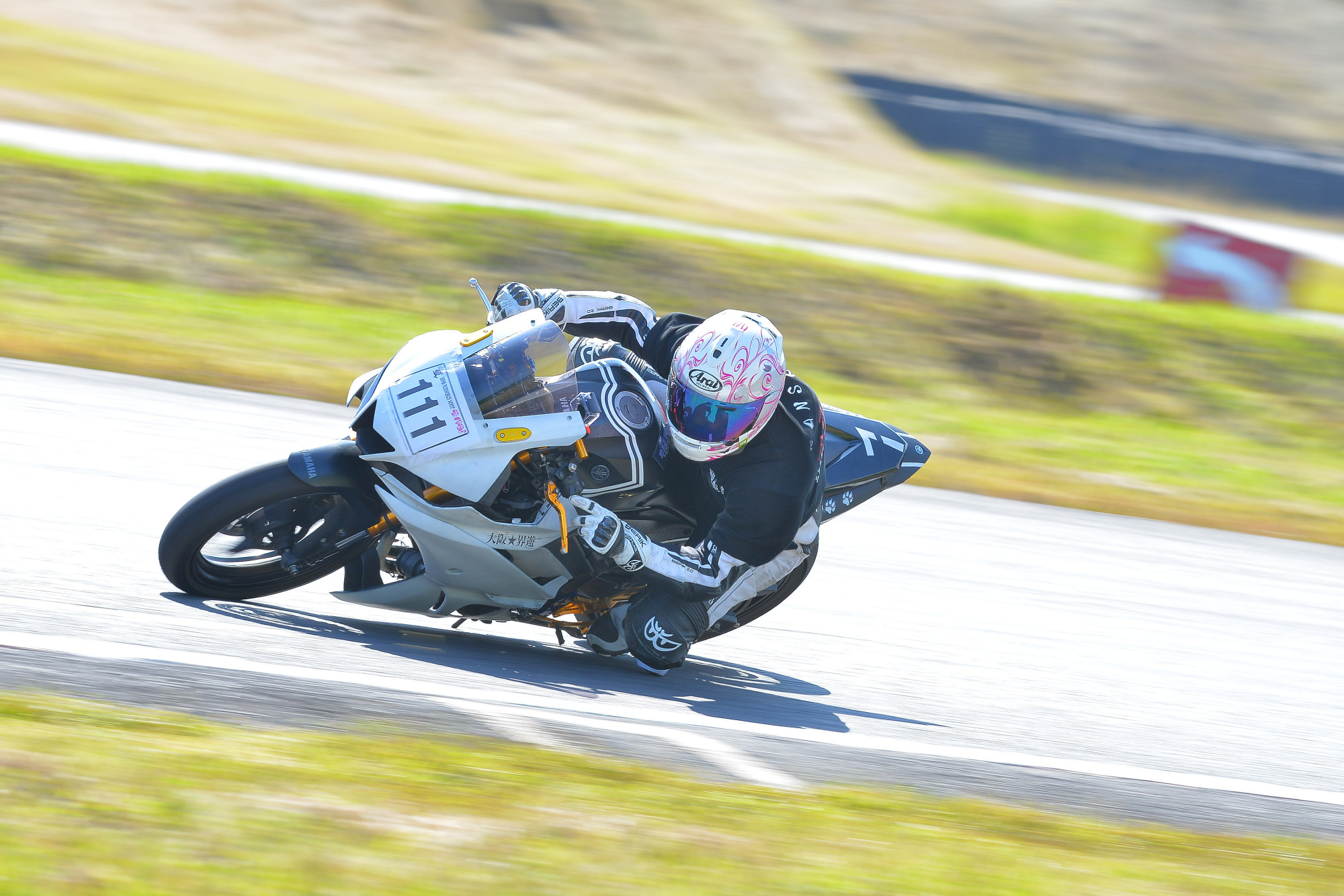 D8J_0586.JPG