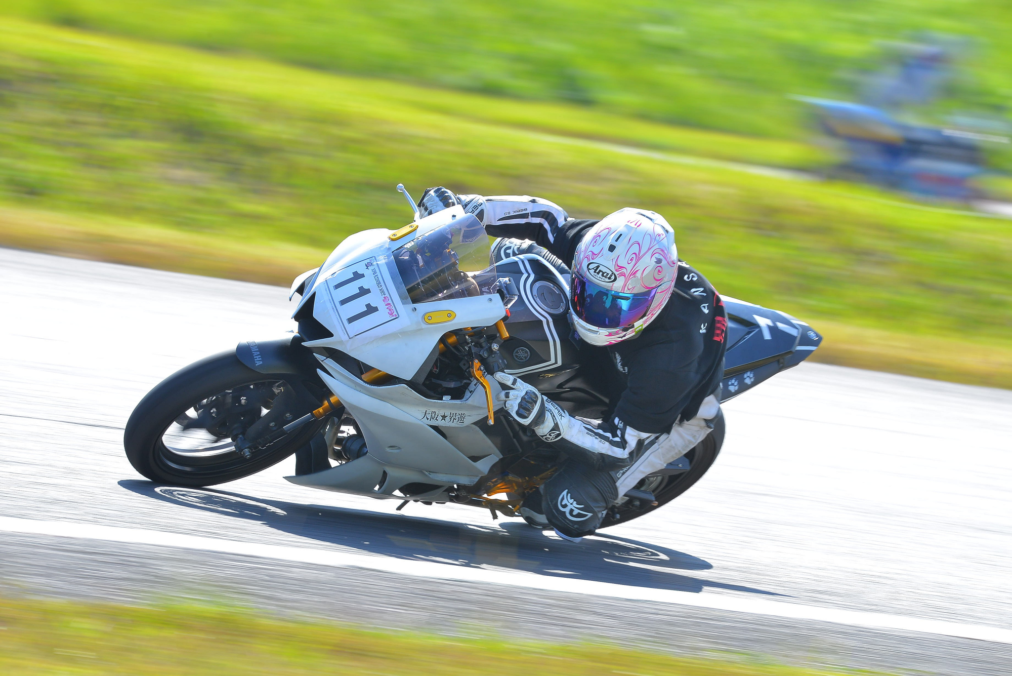 D8J_0587.JPG