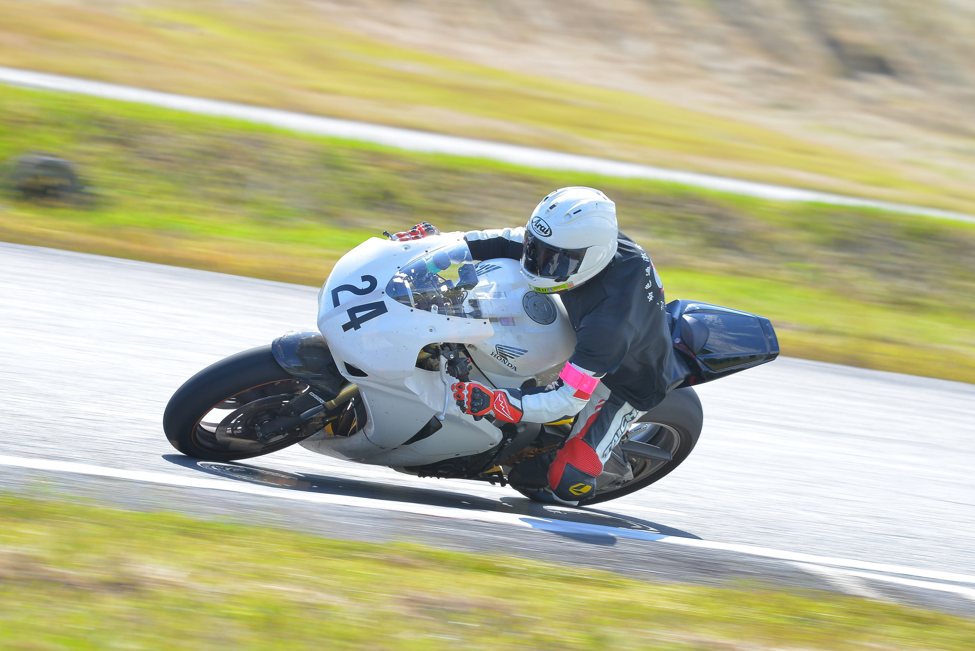 D8J_0635.JPG