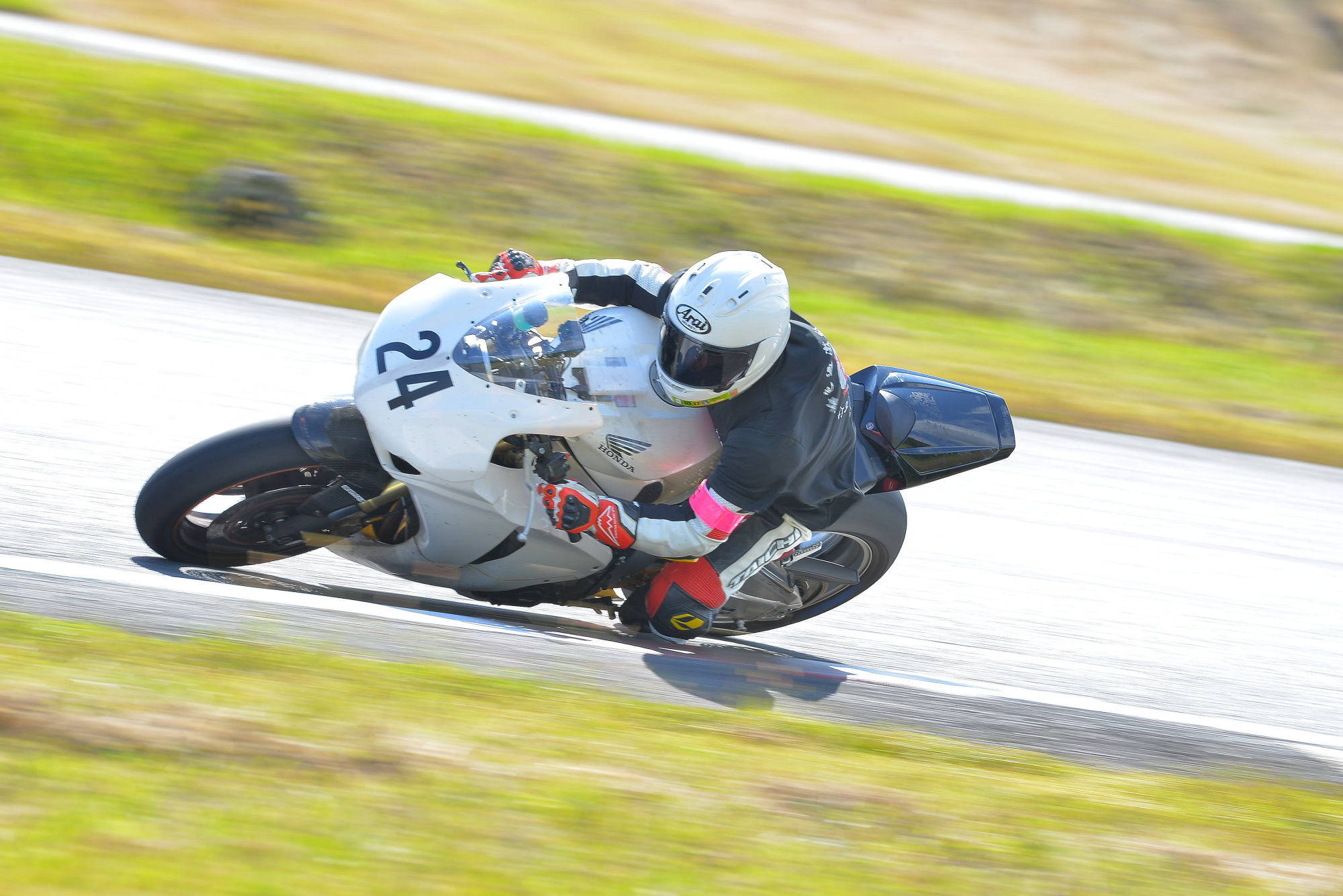 D8J_0665.JPG