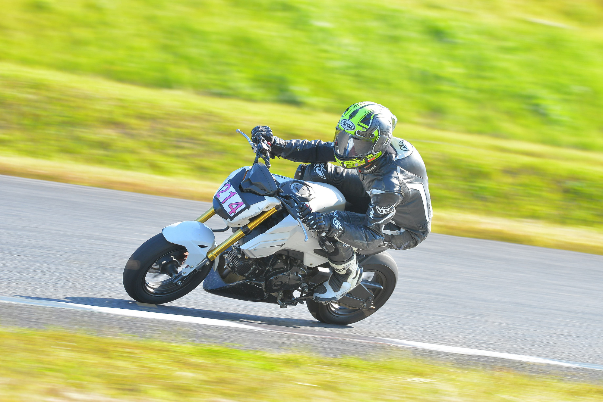 D8J_0861.JPG