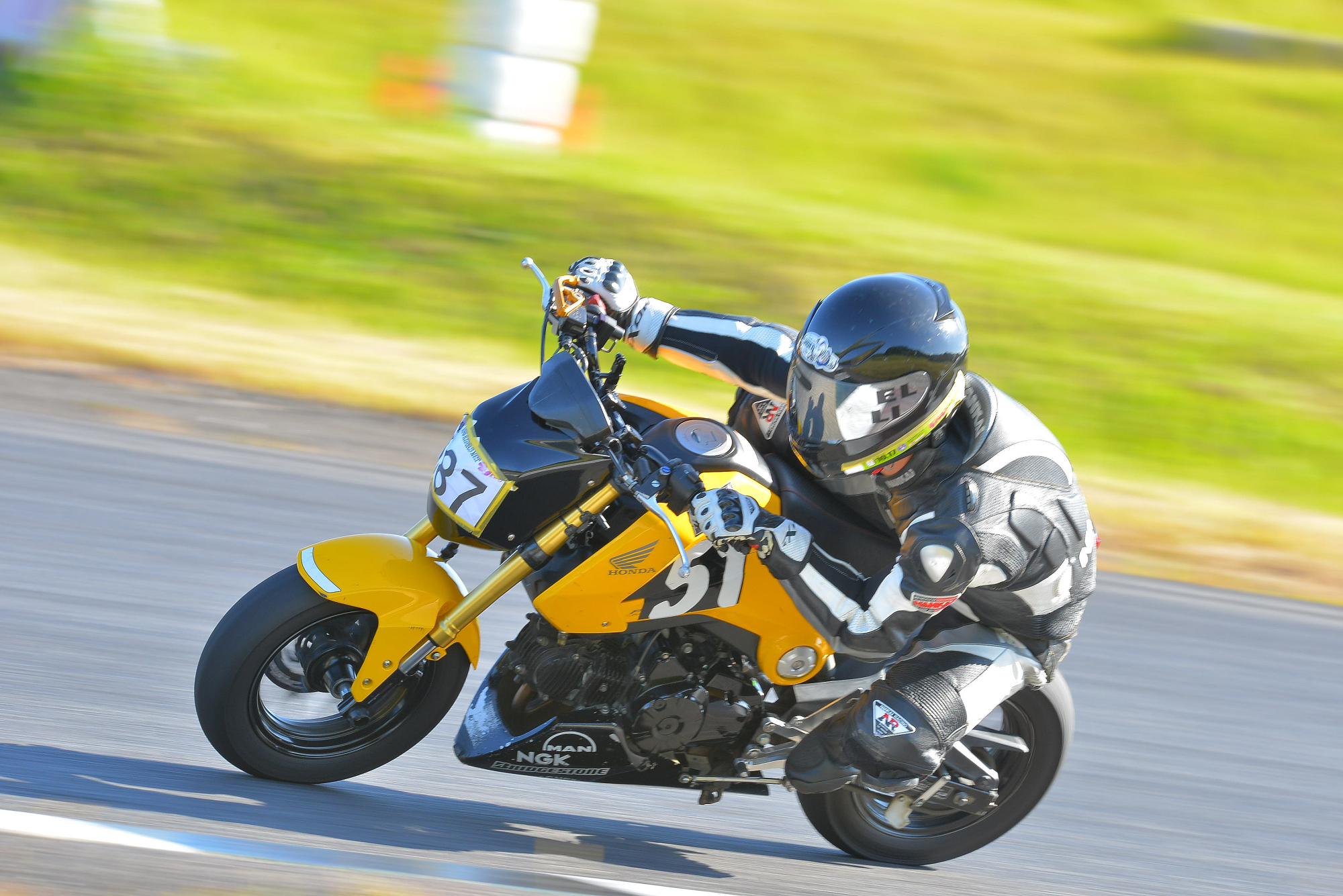 D8J_0884.JPG
