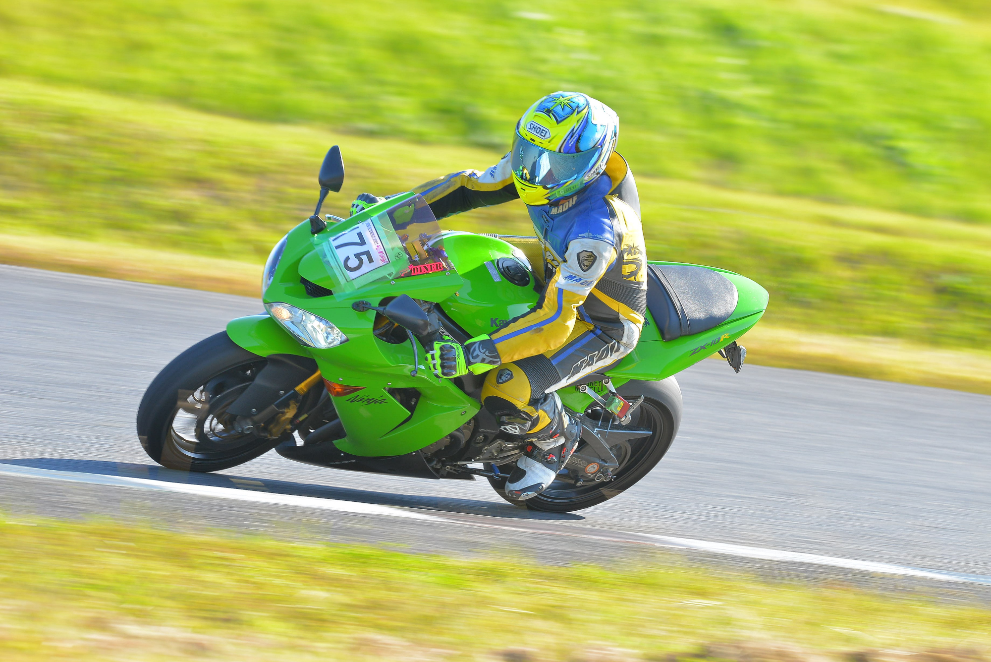 D8J_0947.JPG