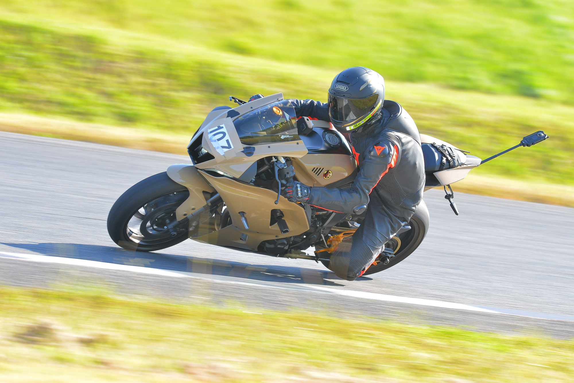 D8J_0952.JPG