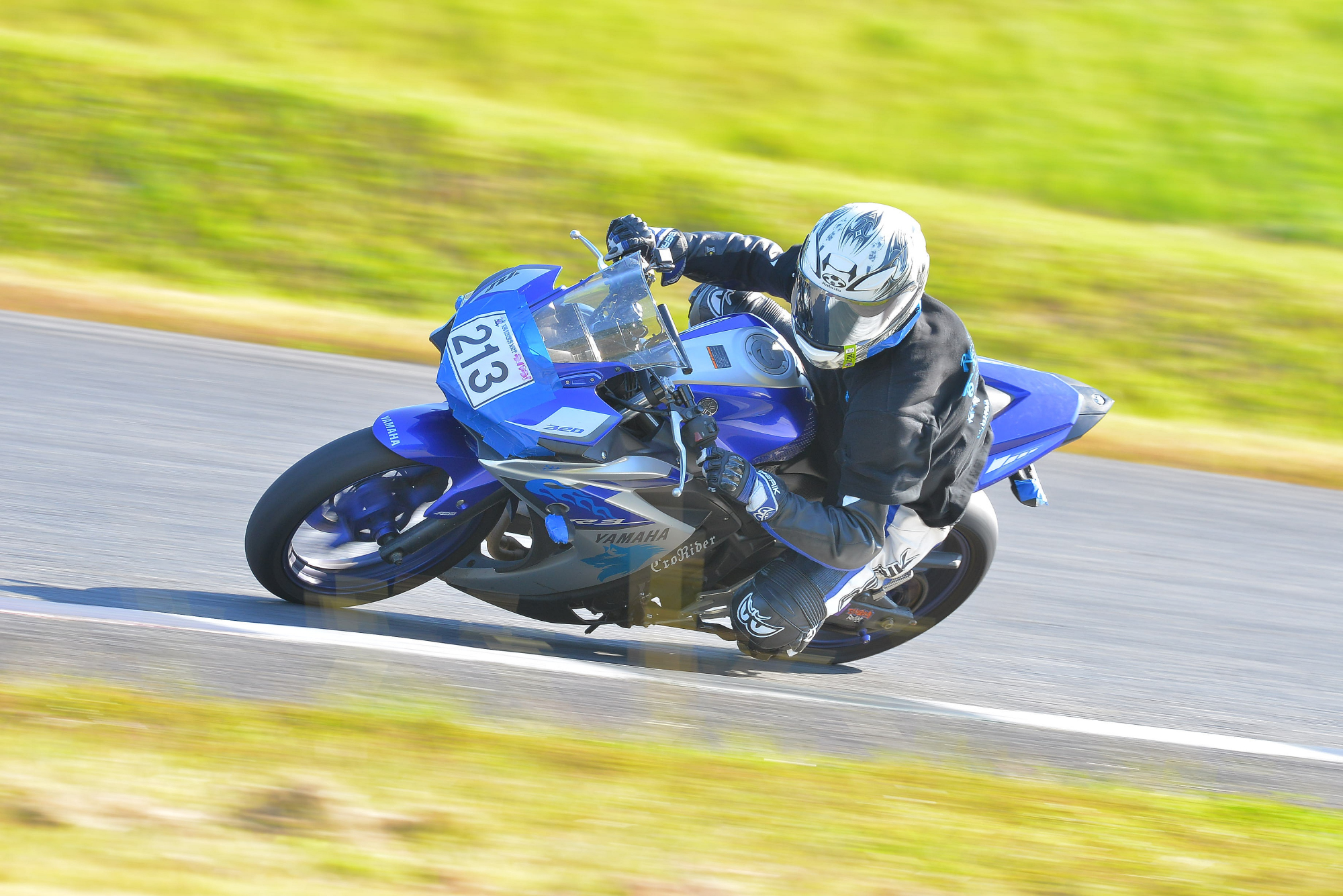 D8J_0956.JPG