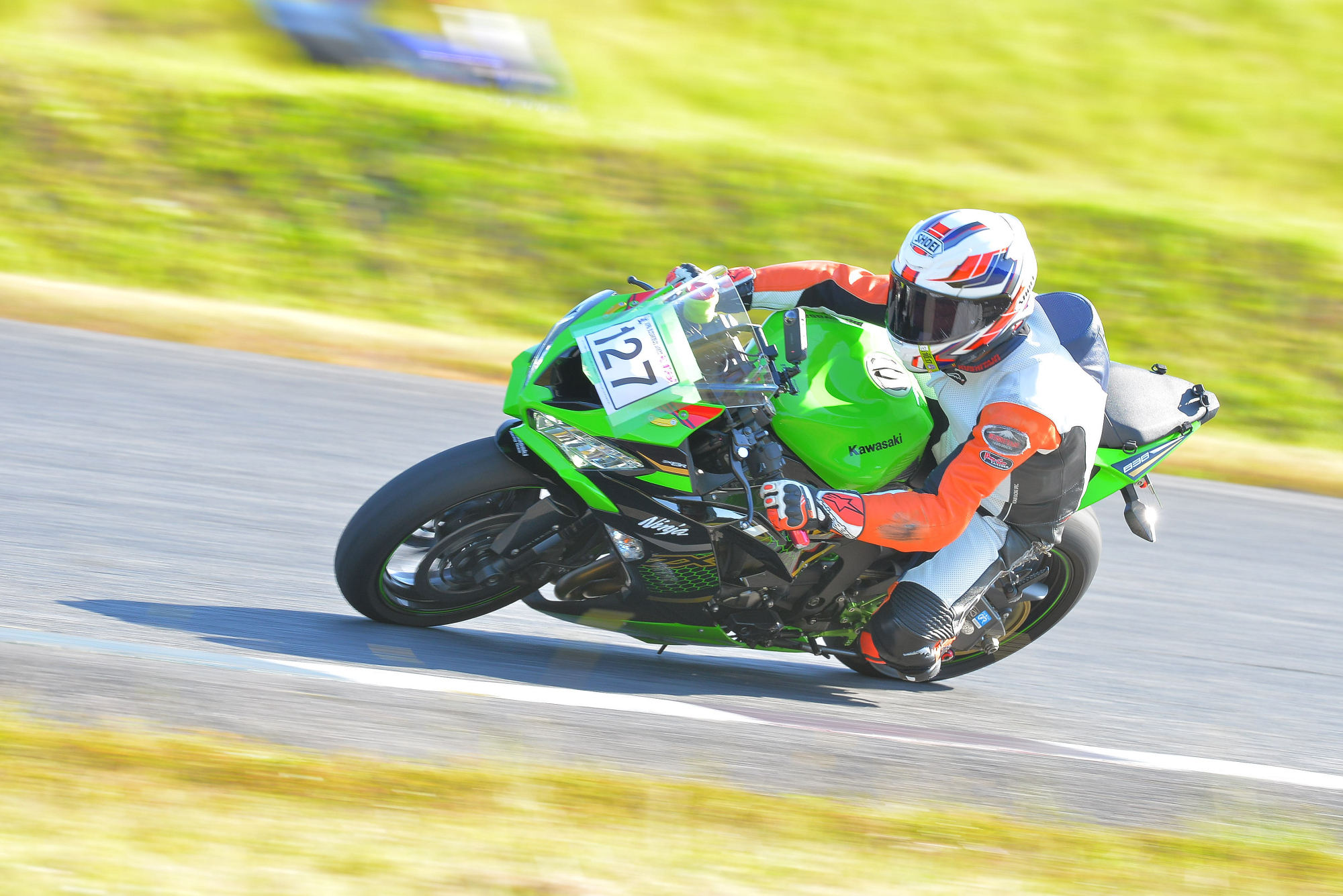 D8J_0965.JPG