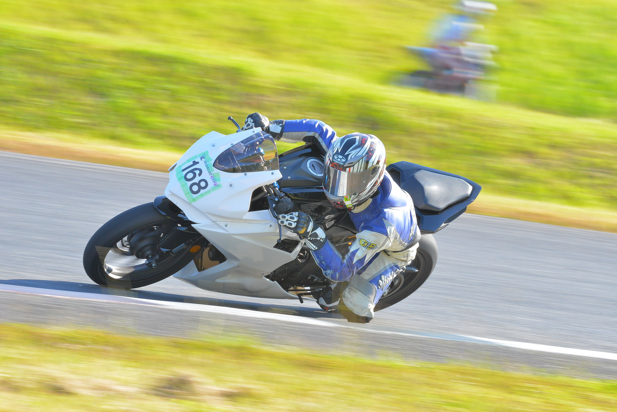 D8J_0976.JPG