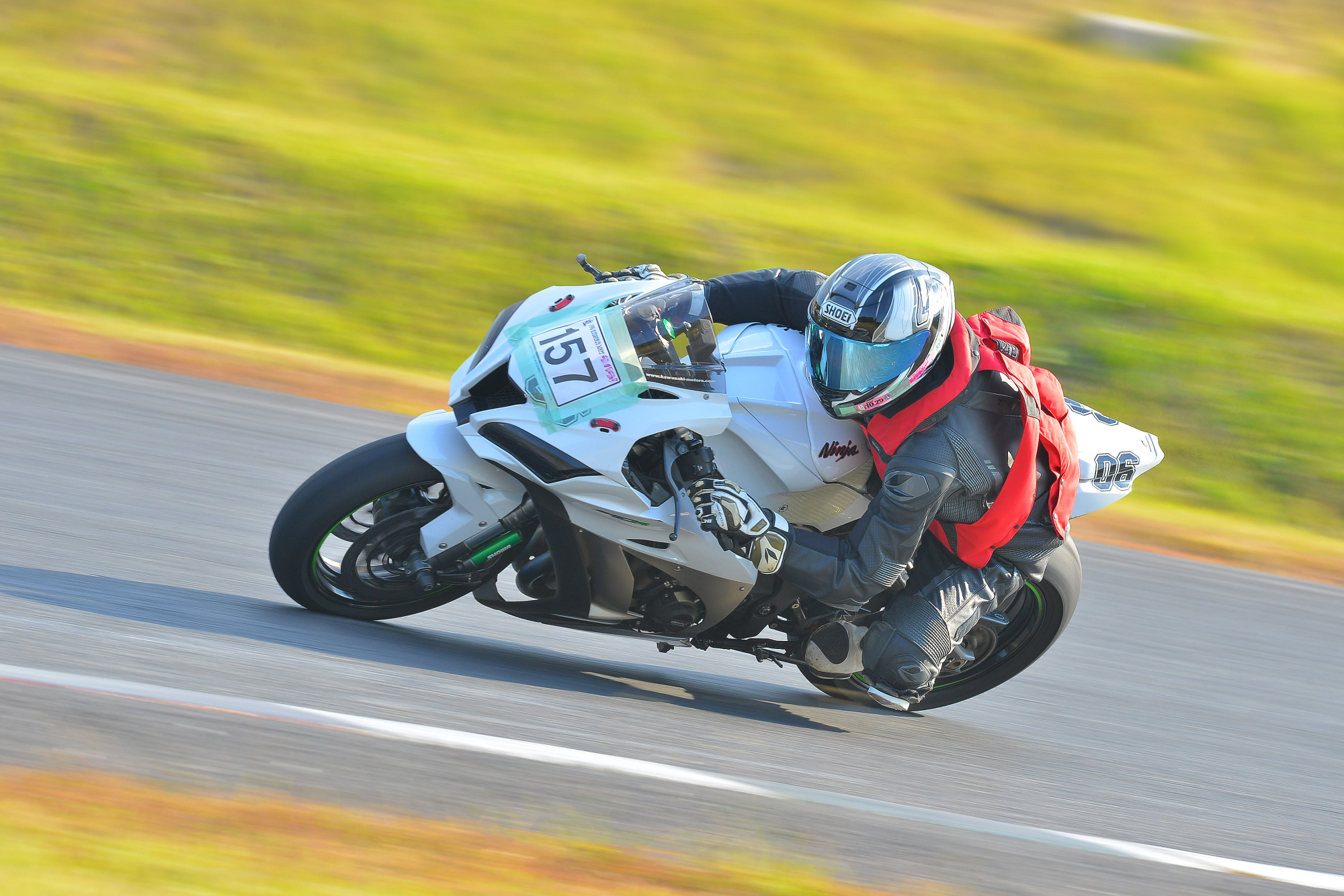 D8J_0195.JPG