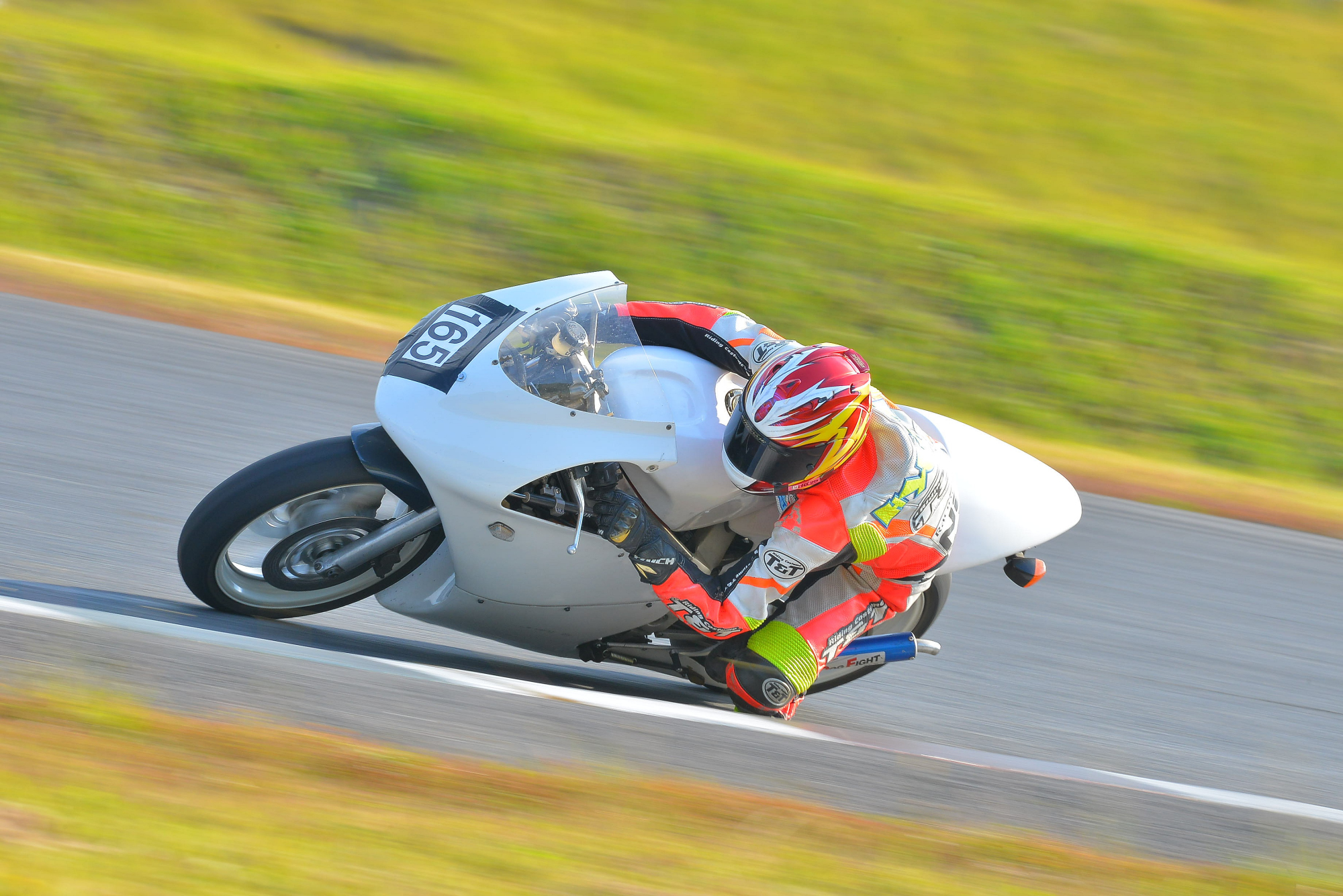 D8J_0217.JPG