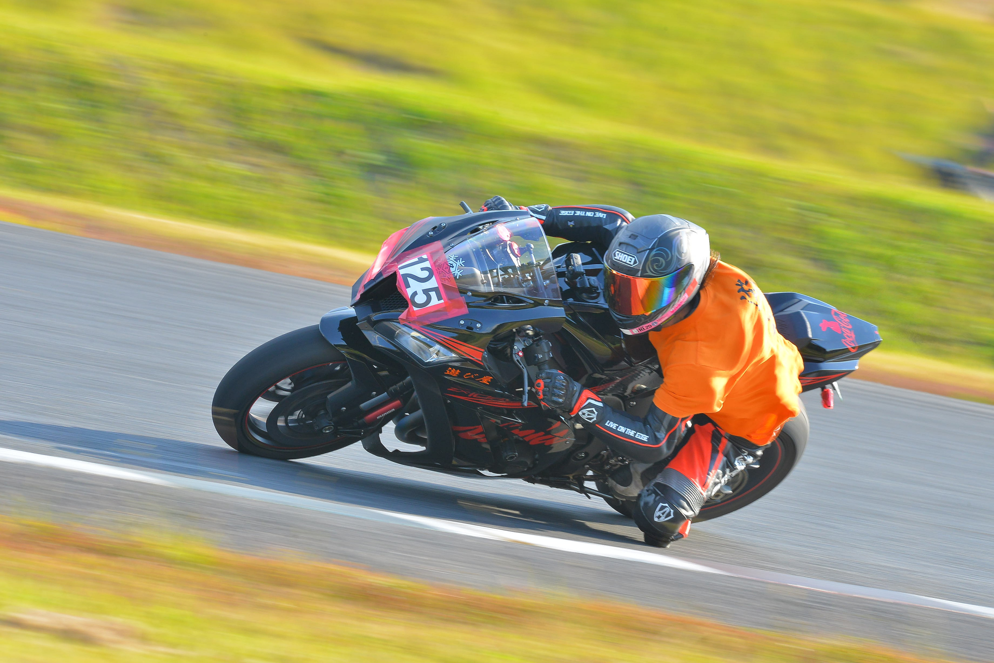D8J_0229.JPG