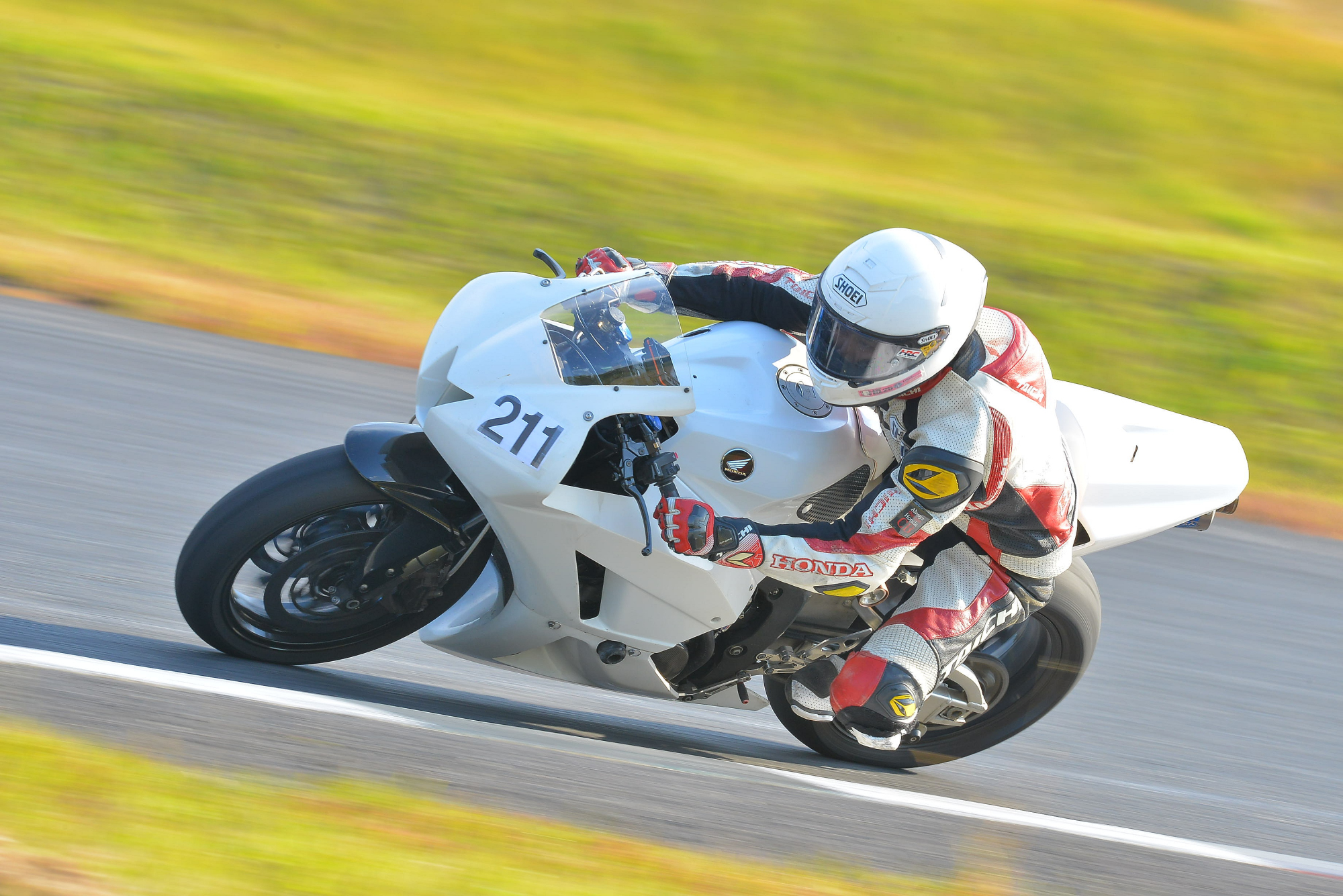 D8J_0252.JPG