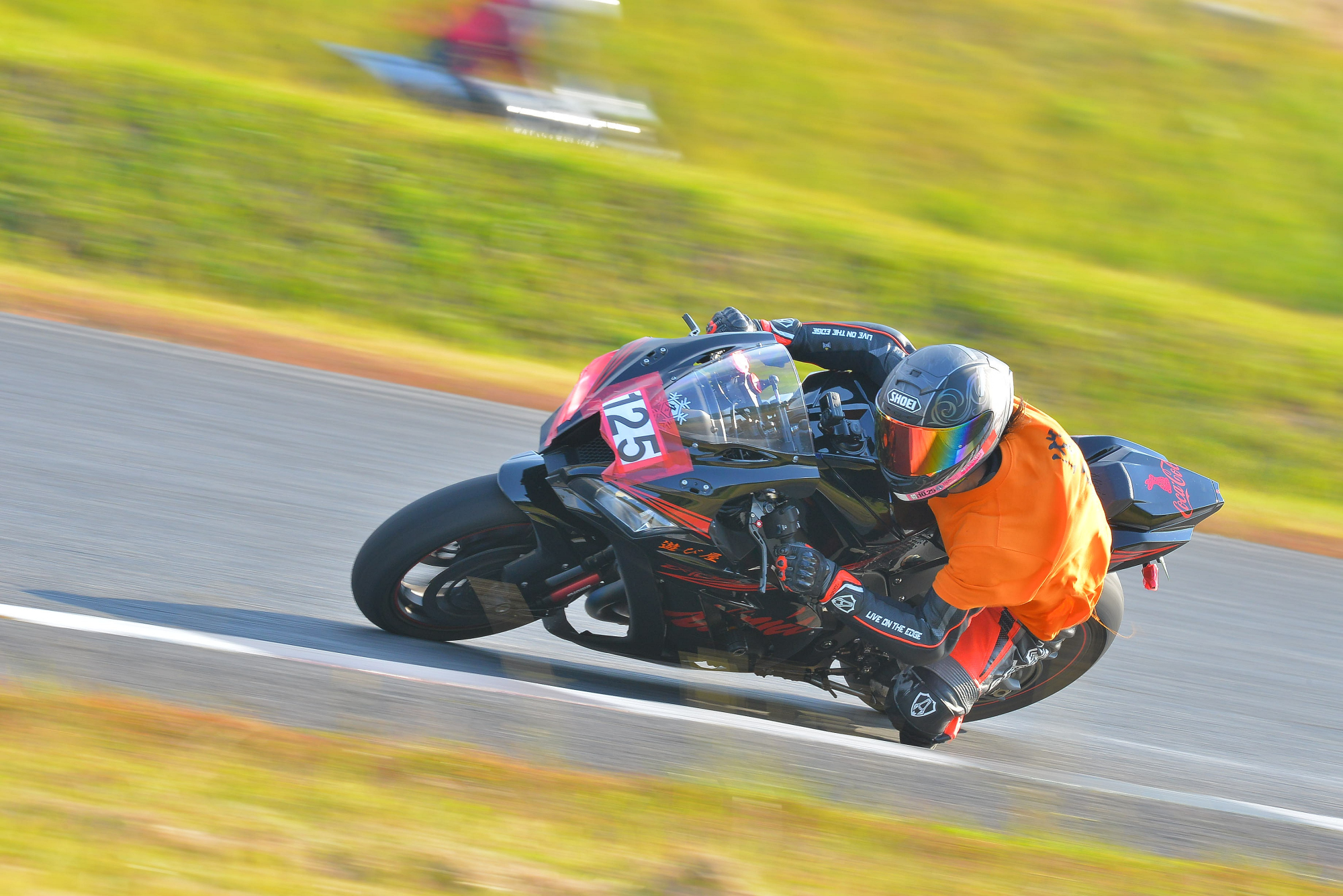D8J_0253.JPG