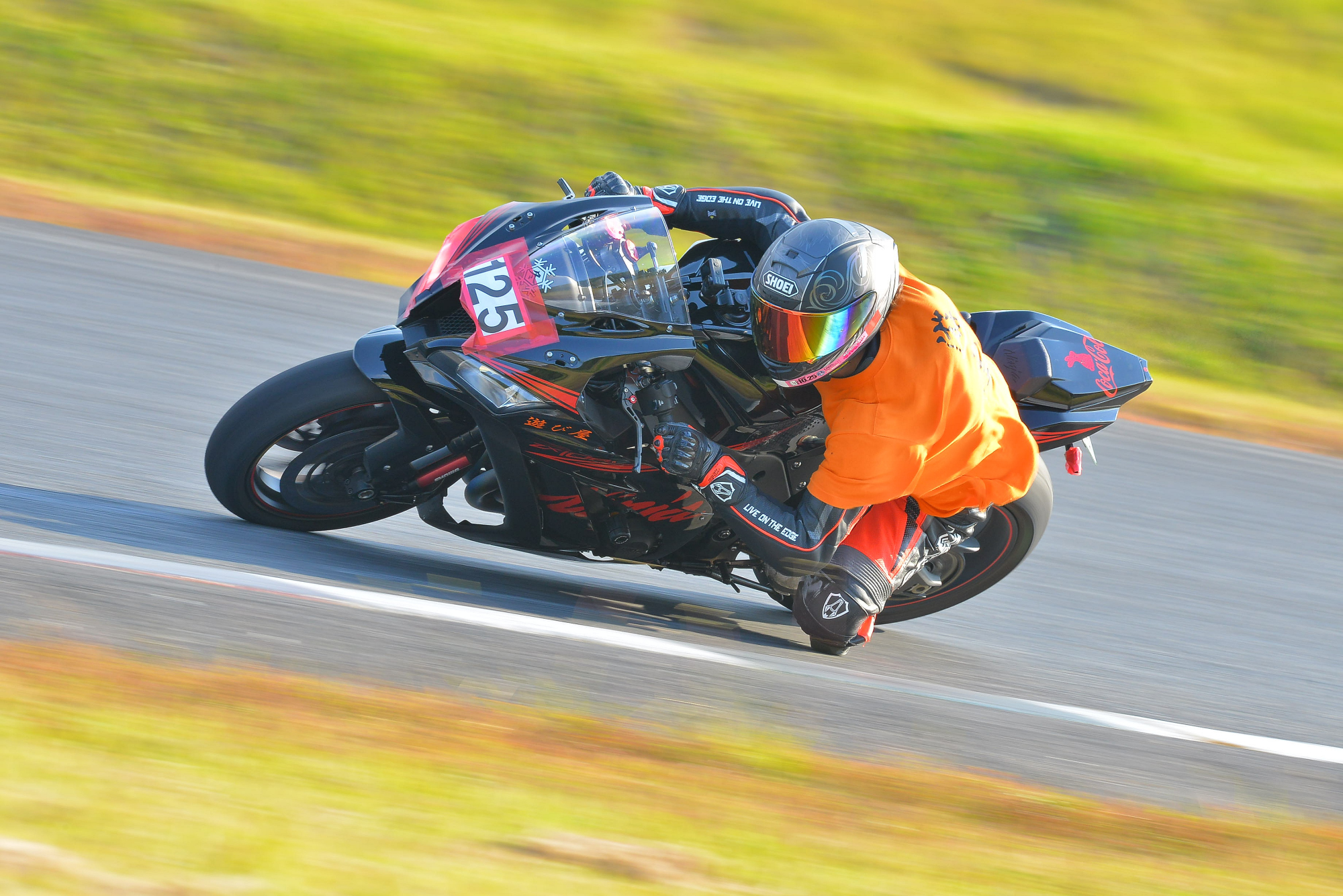 D8J_0331.JPG